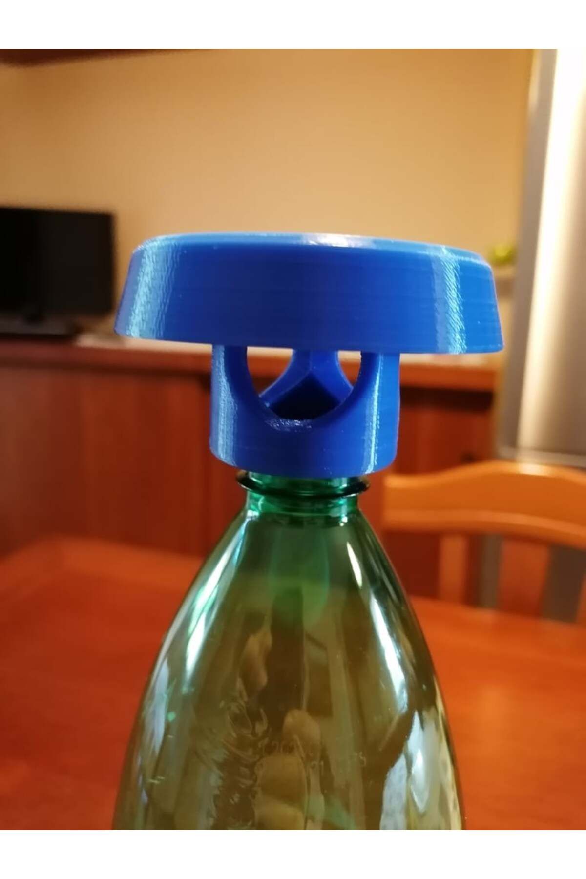Lucest eşekarısı ve eşekarısı tuzağı, Yaban arısı tuzağı (Plastik Aparattır!!!)