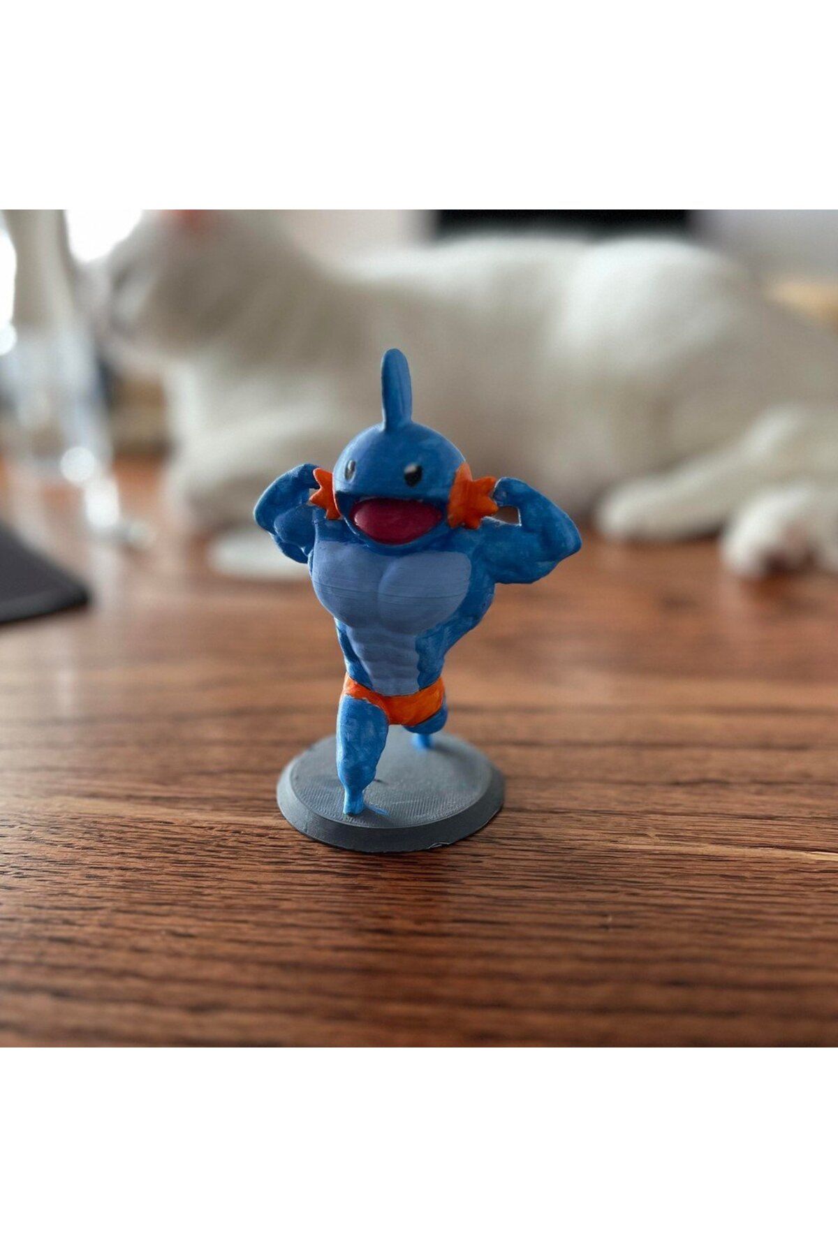 Lucest Swol Mudkip (Plastik Aparattır!!!)