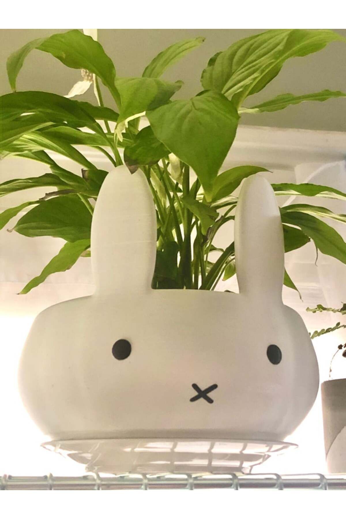 Lucest Miffy Saksı (Plastik Aparattır!!!)