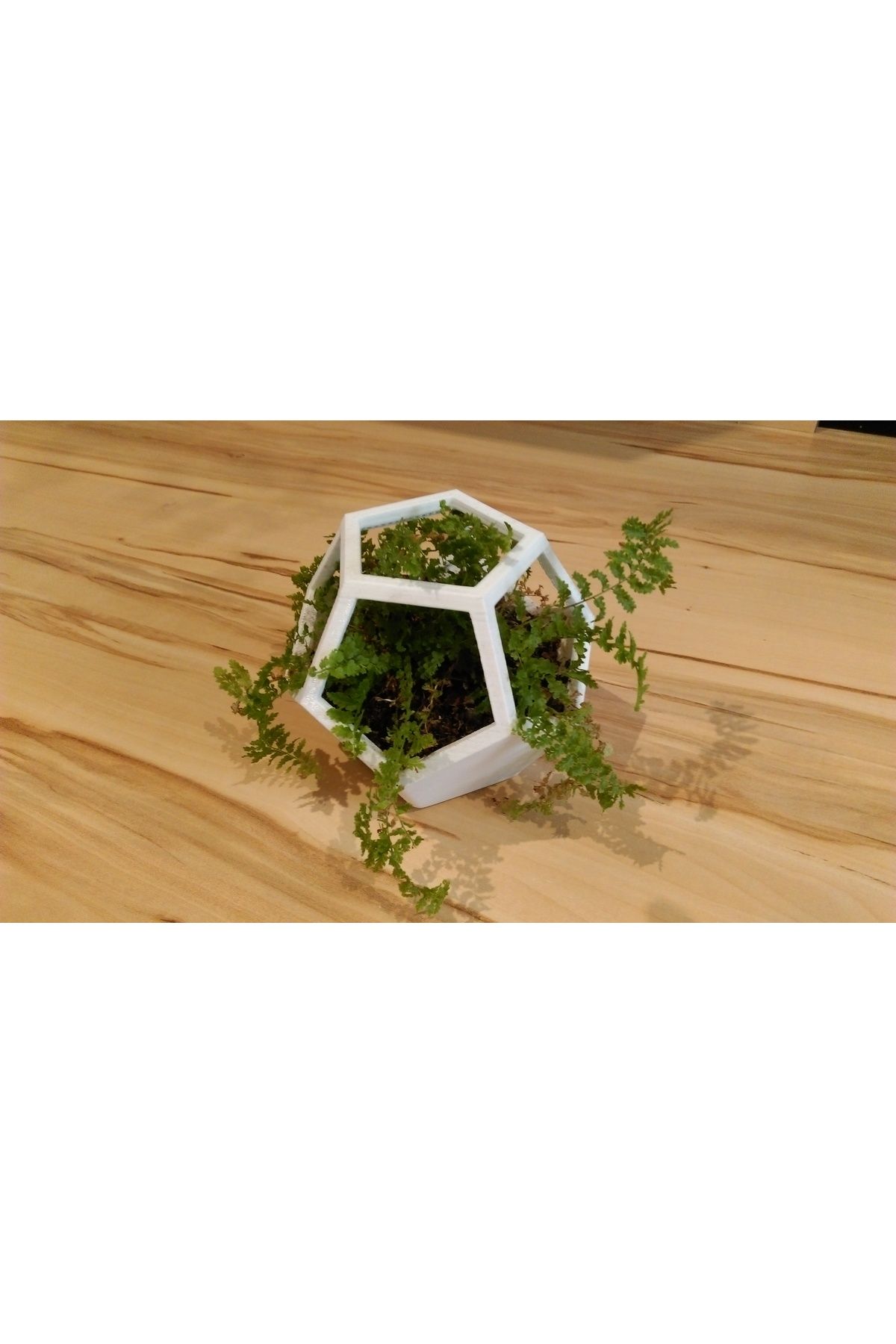 Vision Craft Dodekahedron saksı