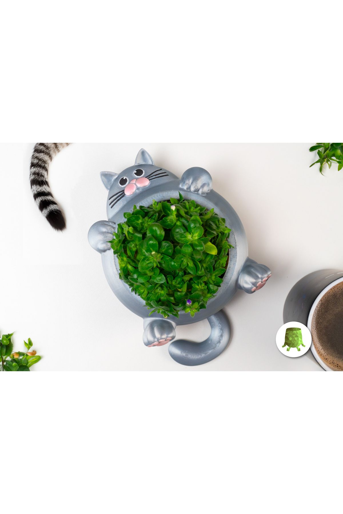 Vision Craft Tıknaz kedi bitki tenceresi