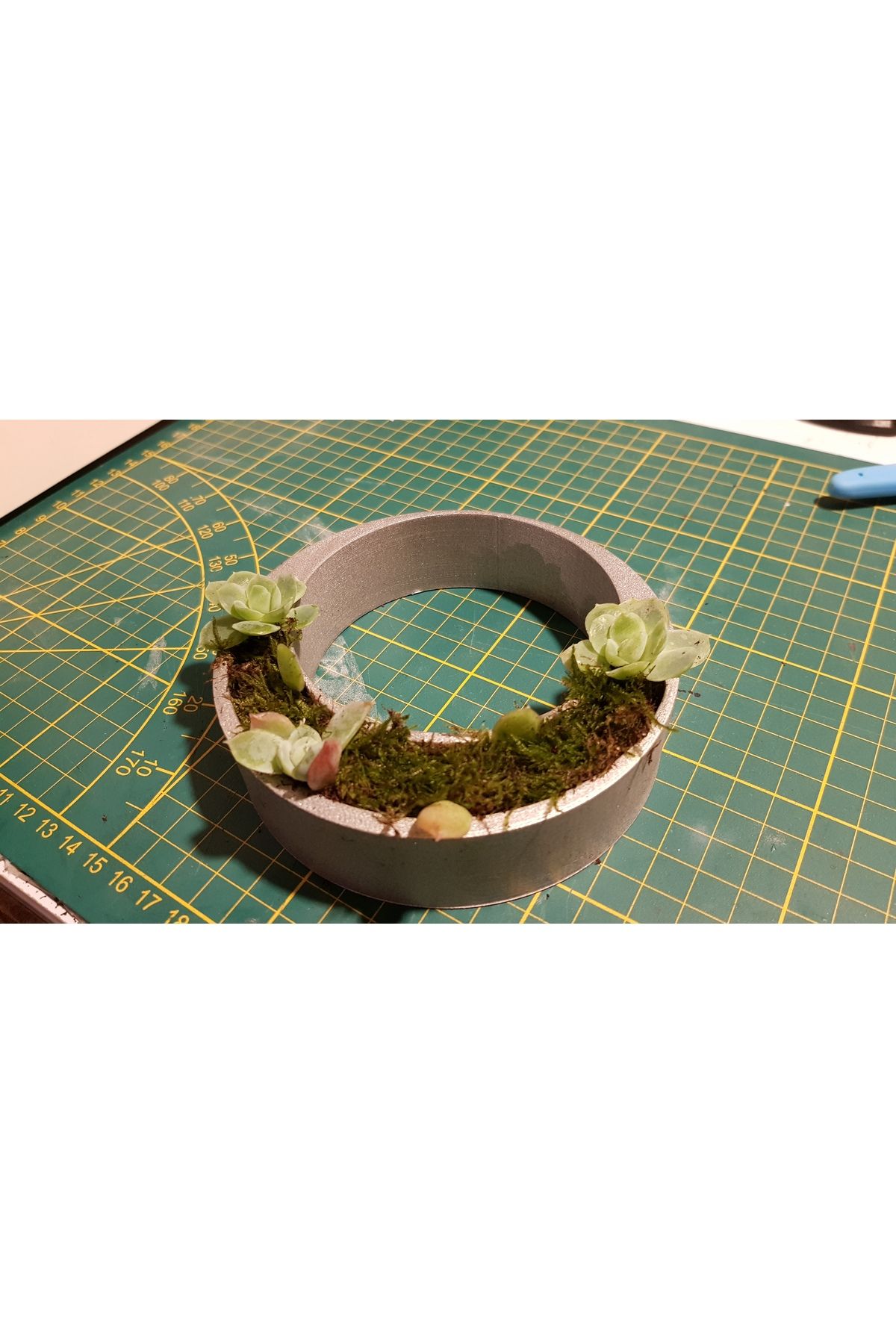 Vision Craft Yüzük saksı