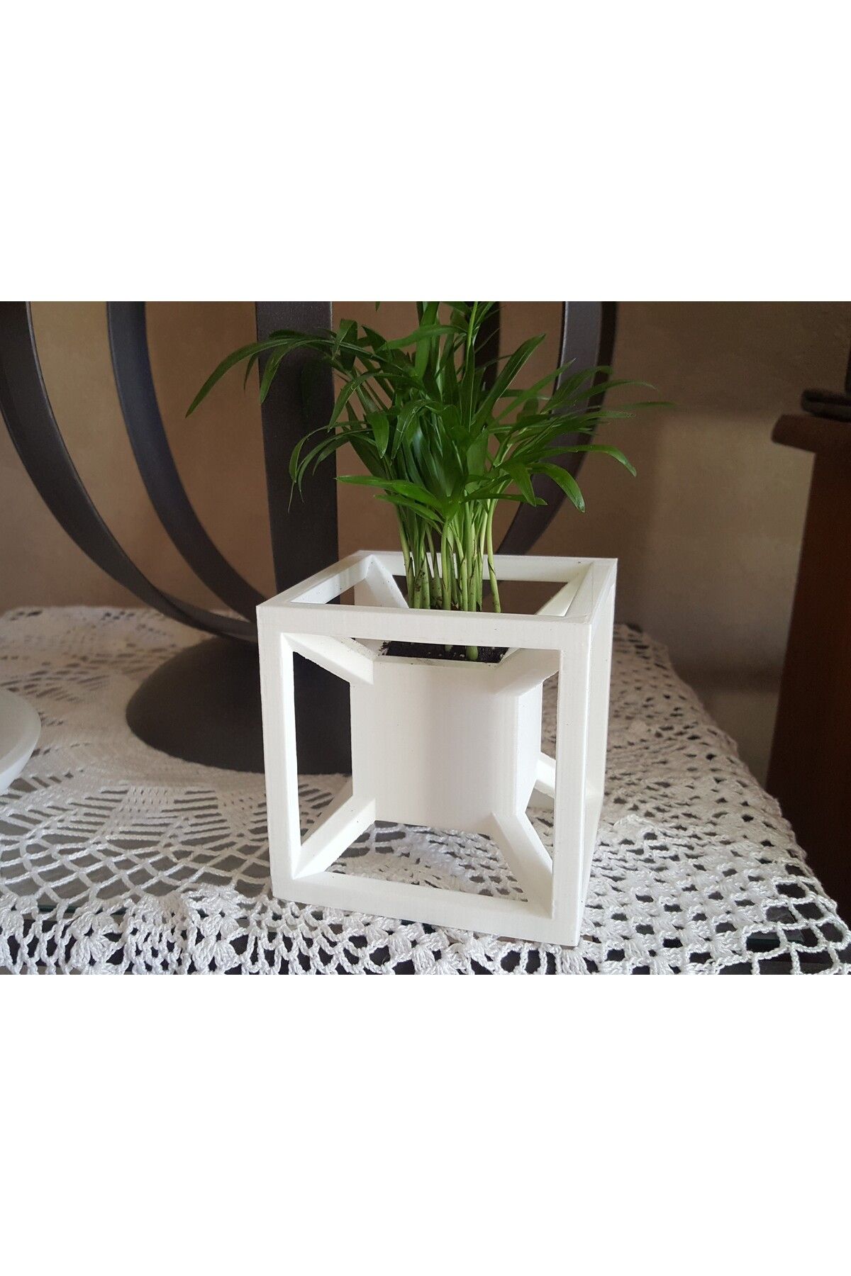 Vision Craft Hipercube bitki tenceresi