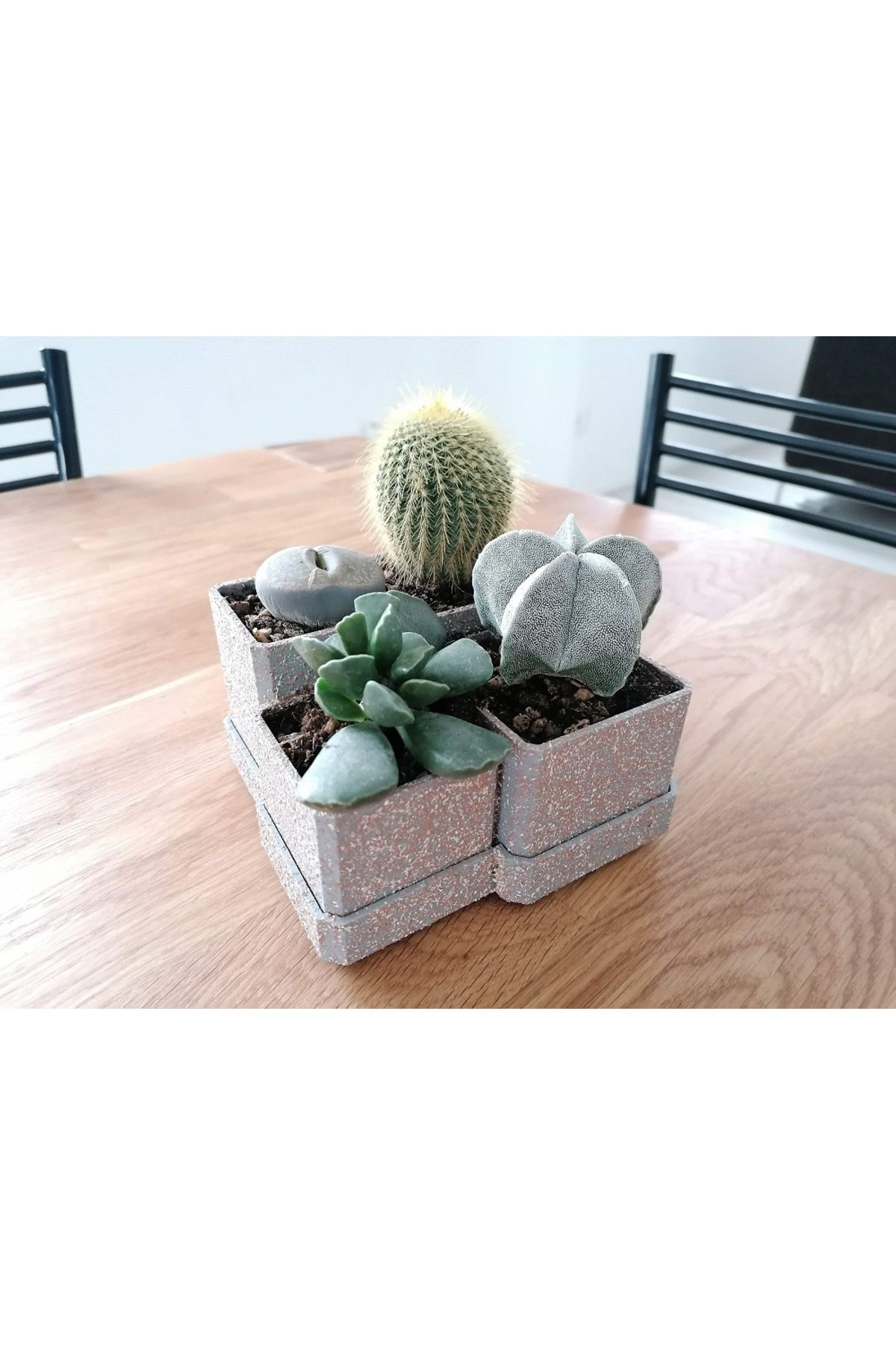 Vision Craft Çok düzeyli modern pot