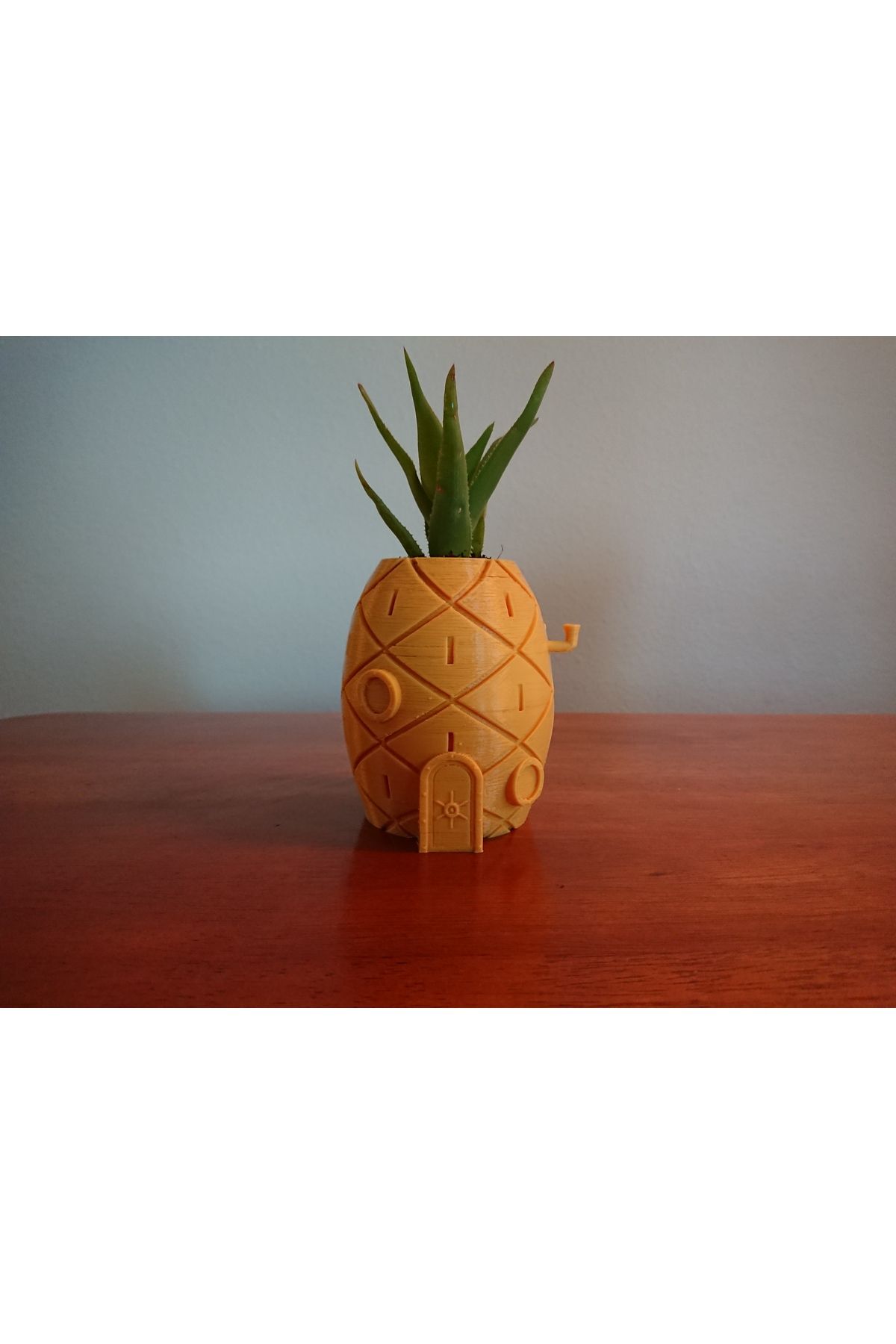 Vision Craft SpongeBob'un Ev Plant Pot