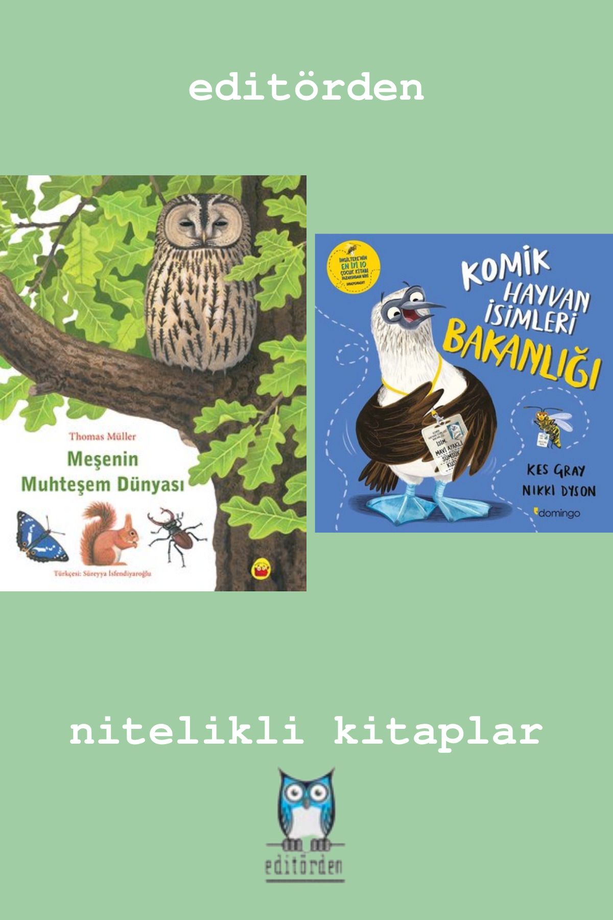 Bilge Kuş Yayınları Meşenin Muhteşem Dünyası - Komik Hayvan İsimleri Bakanlığı / Kes Gray