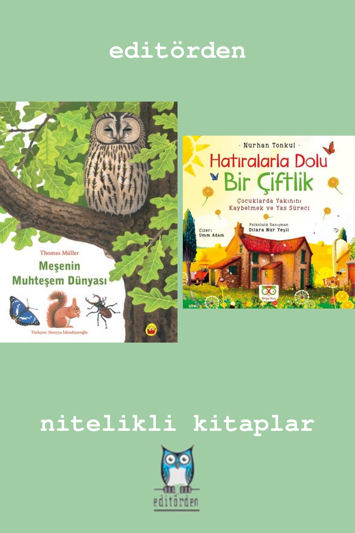Bilge Kuş Yayınları Meşenin Muhteşem Dünyası - Hatıralarla Dolu Bir Çiftlik