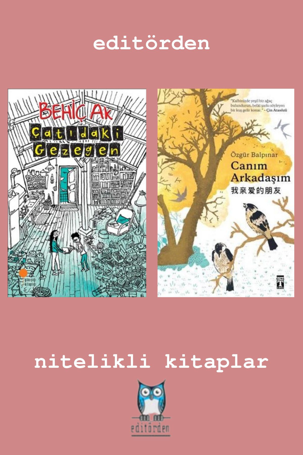 Bilge Kuş Yayınları Çatıdaki Gezegen – Canım Arkadaşım / Özgür Balpınar