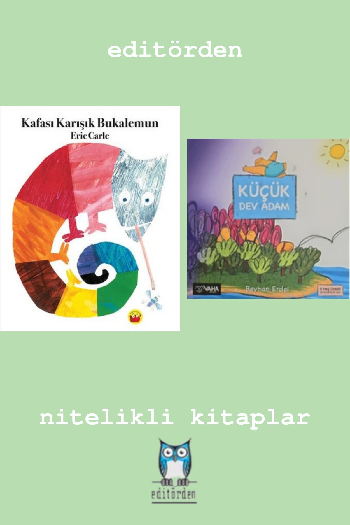 Bilge Kuş Yayınları Kafası Karışık Bukalemun - Küçük Dev Adam