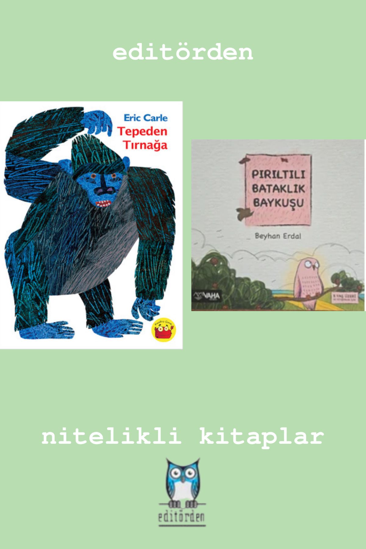 Bilge Kuş Yayınları Tepeden Tırnağa - Pırıltılı Bataklık Baykuşu