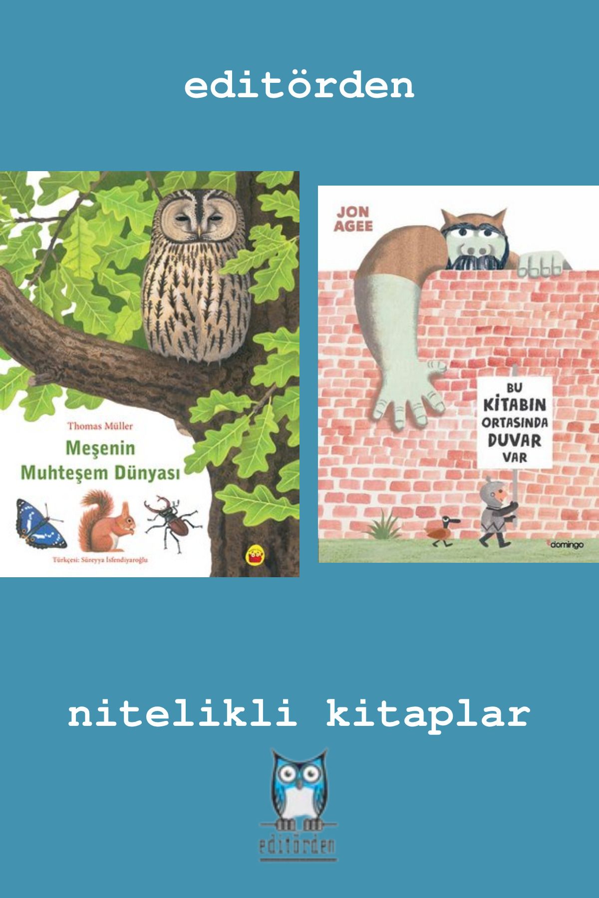 Bilge Kuş Yayınları Meşenin Muhteşem Dünyası - Bu Kitabın Ortasında Duvar var / Jon Agee