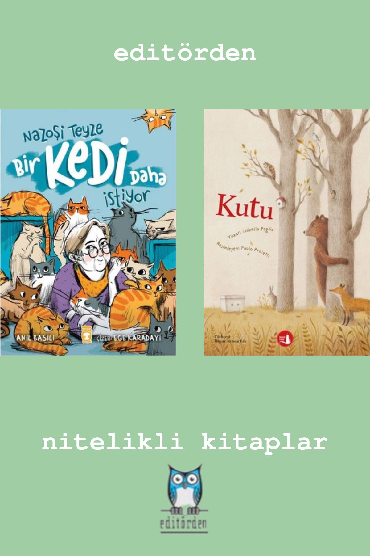 Bilge Kuş Yayınları Nazoşi Teyze Bir Kedi Daha İstiyor - Kutu / Isabella Paglia