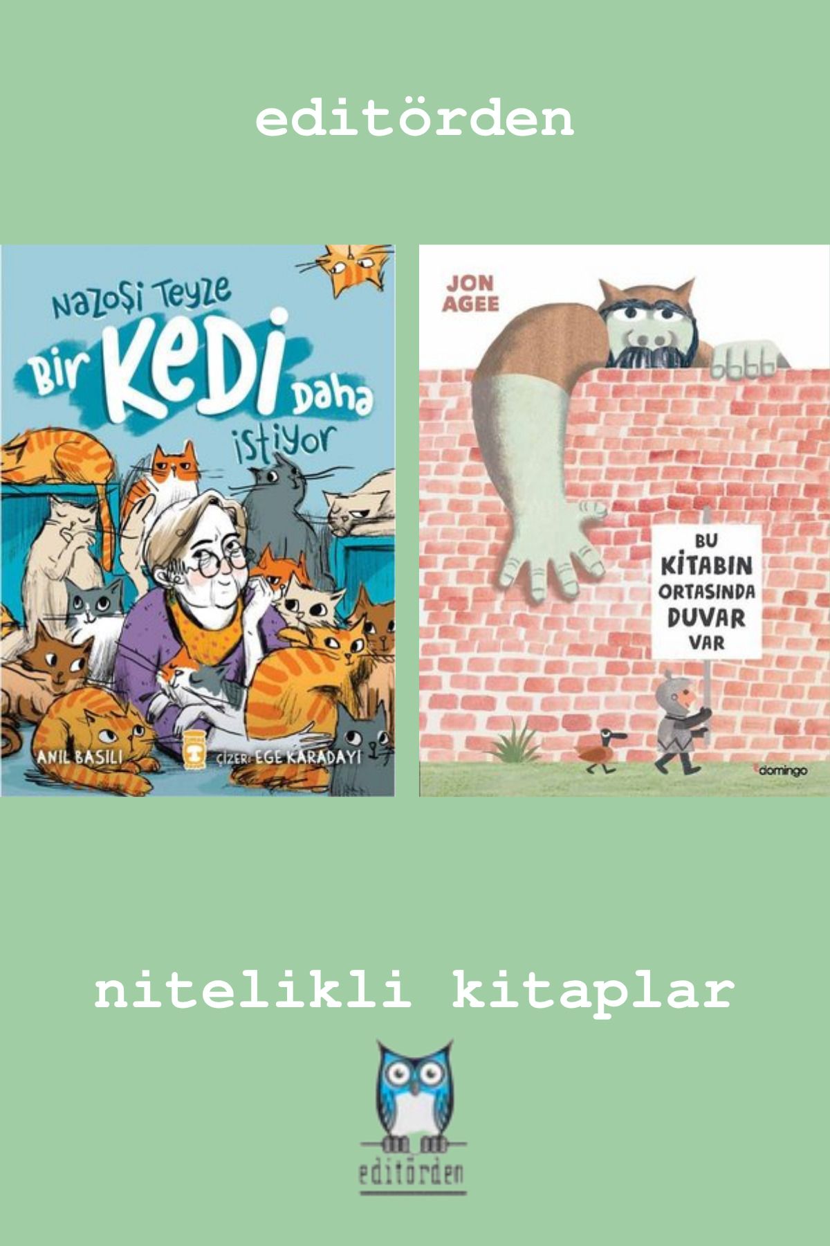 Bilge Kuş Yayınları Nazoşi Teyze Bir Kedi Daha İstiyor - Bu Kitabın Ortasında Duvar Var / Jon Agee