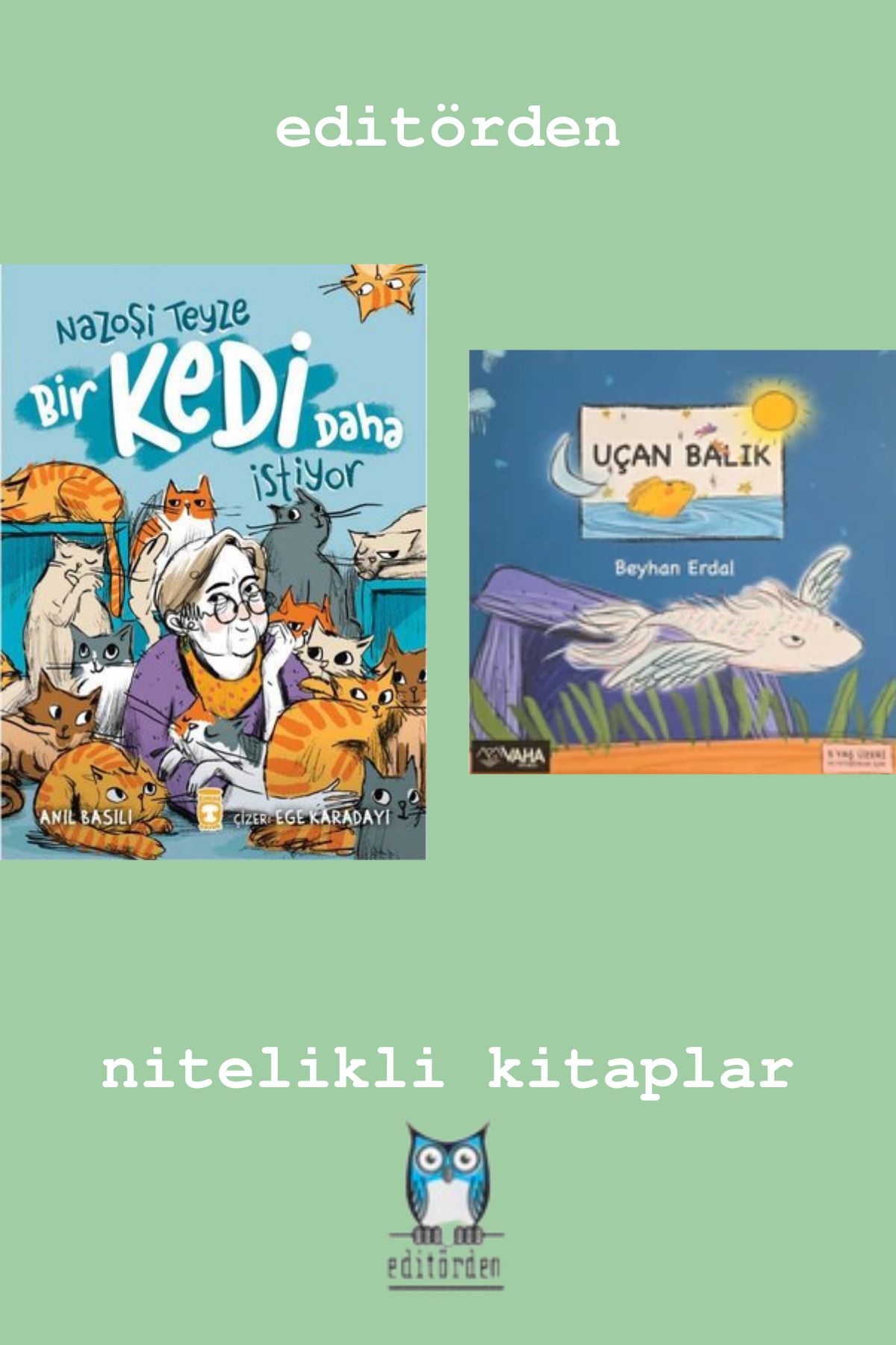 Bilge Kuş Yayınları Nazoşi Teyze Bir Kedi Daha İstiyor - Uçan Balık