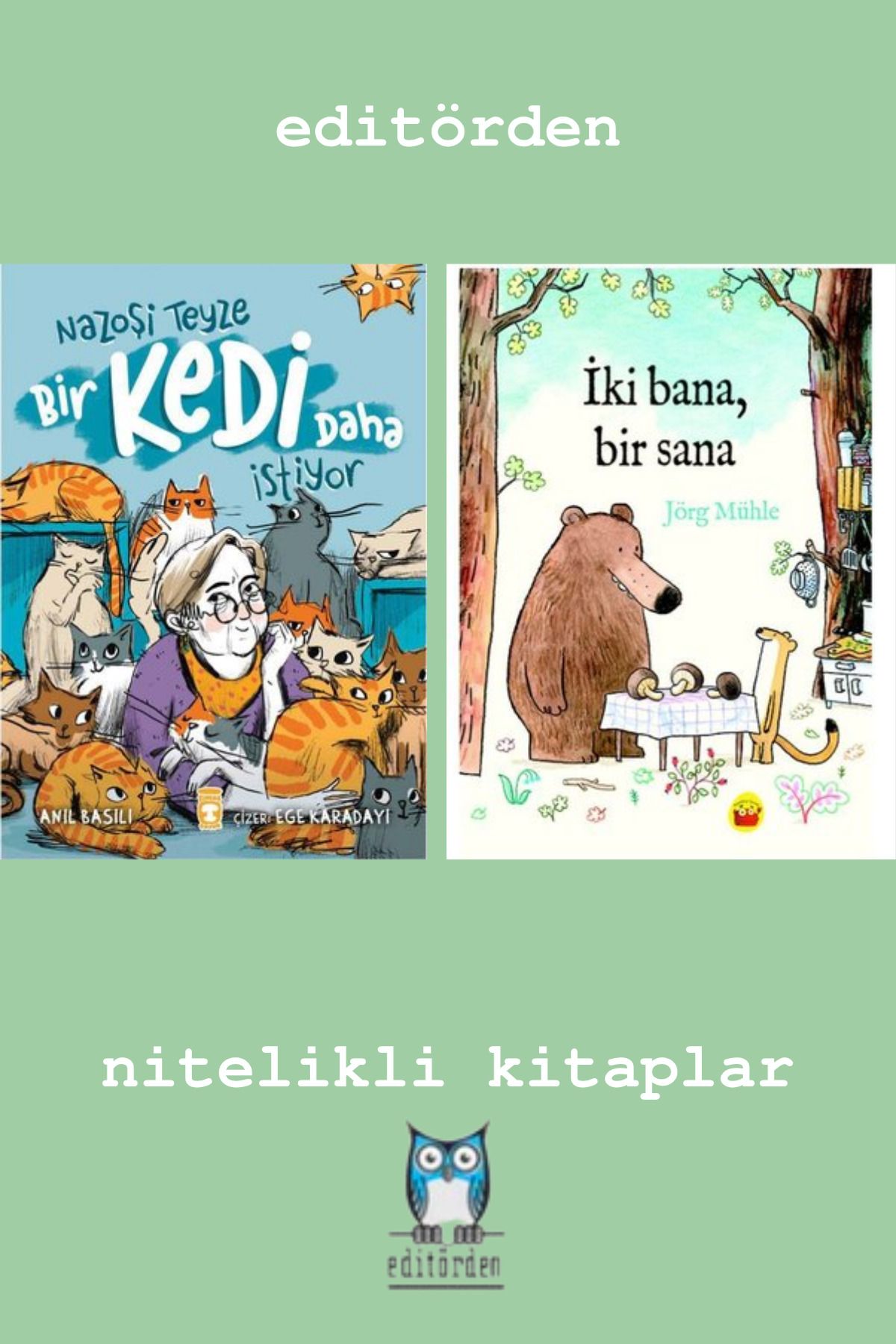 Bilge Kuş Yayınları Nazoşi Teyze Bir Kedi Daha İstiyor - İki Bana Bir Sana / Jörg Mühle