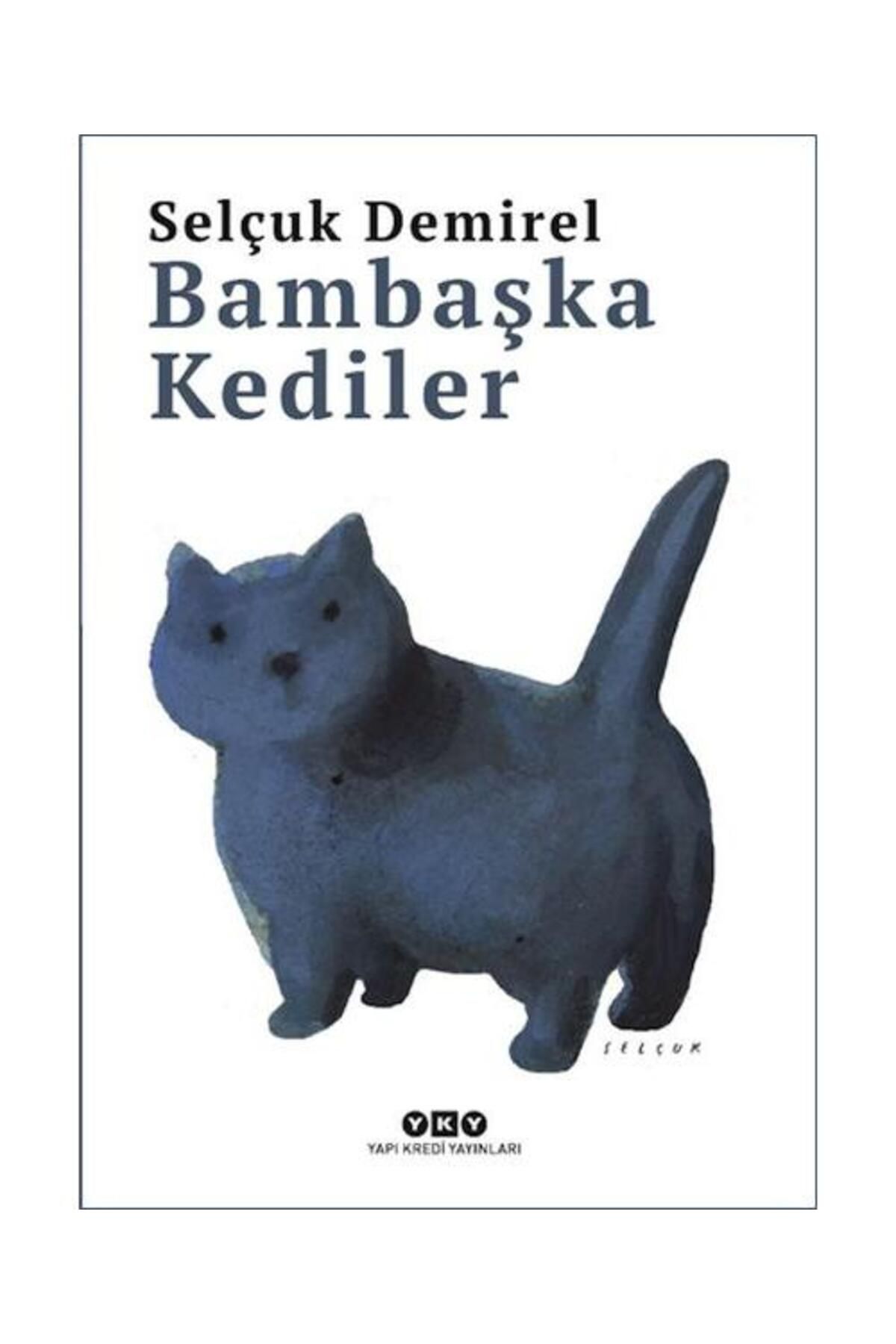 Yapı Kredi Yayınları Bambaşka Kediler