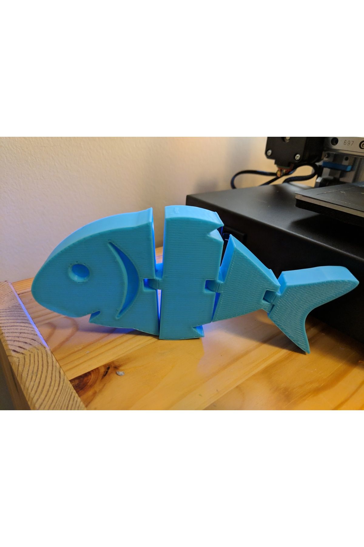 Vision Craft Tıknaz Flexi-Fish!