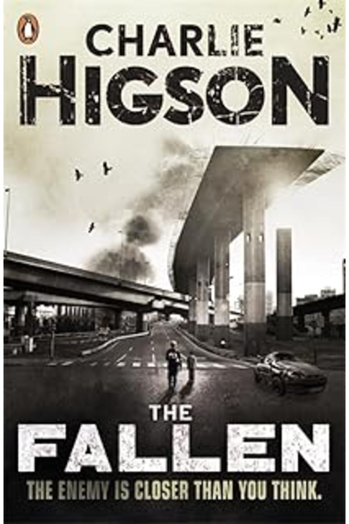 Qedii The Fallen (The Enemy Book 5)
