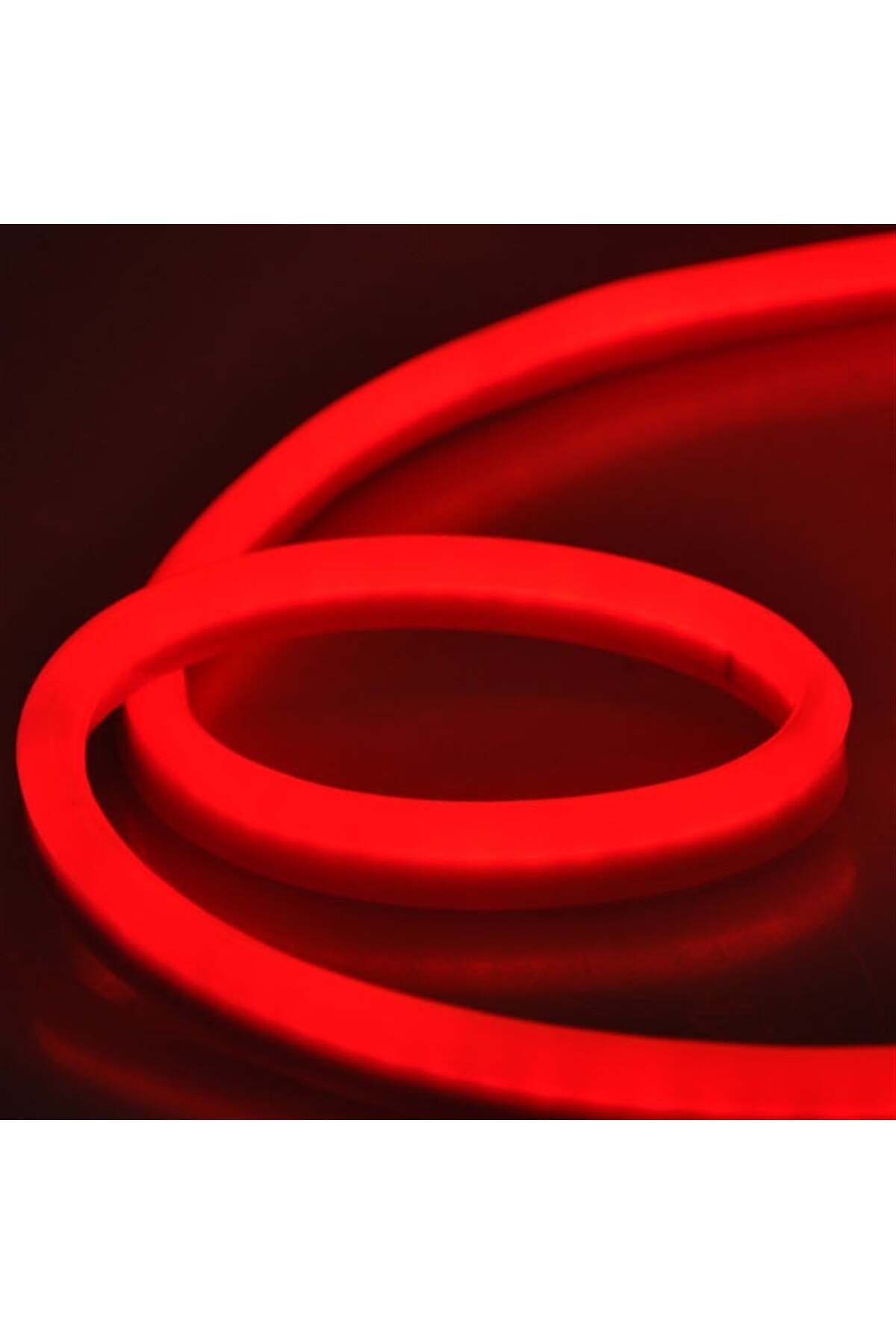 FURİNOA 12 V NEON ŞERİT LED
