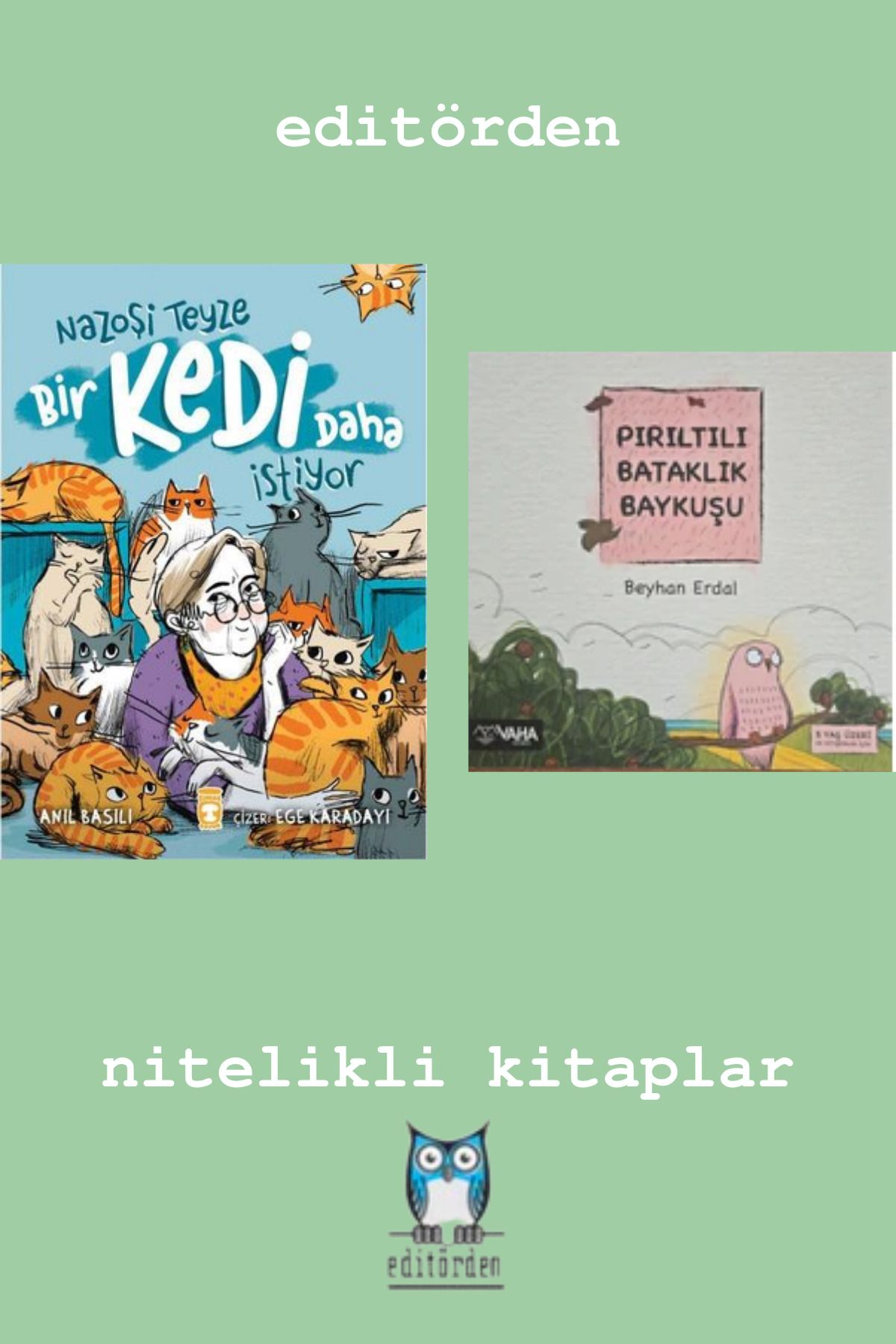 Bilge Kuş Yayınları Nazoşi Teyze Bir Kedi Daha İstiyor - Pırıltılı Bataklık Baykuşu