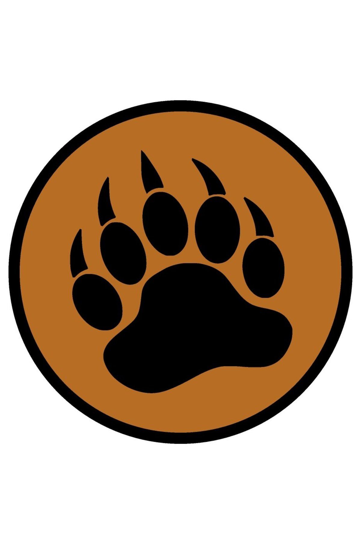 Vision Craft Bear Baskı Buzdolabı Mıknatısı (3 Adet)