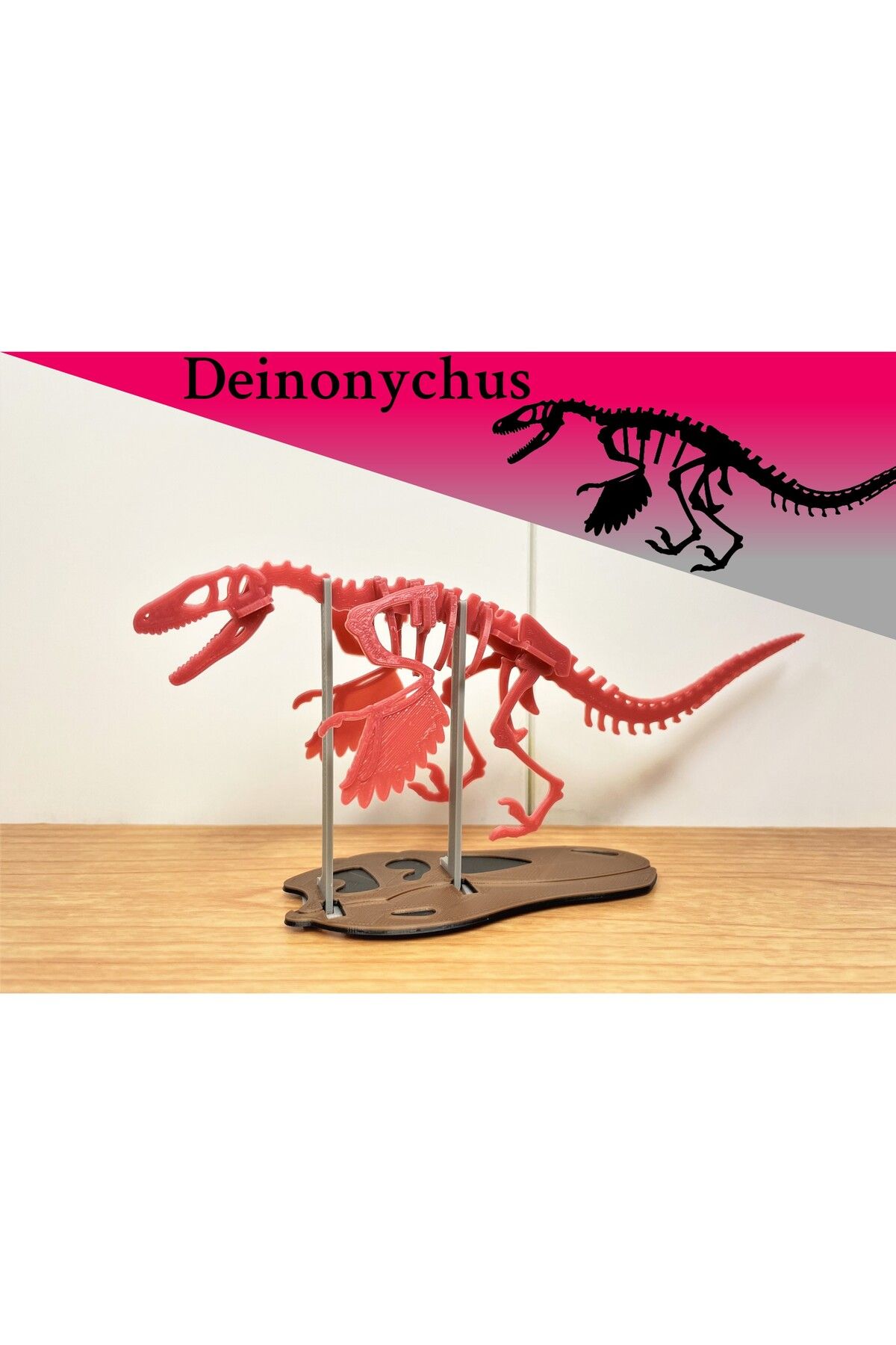Vision Craft [3 günlük bulmaca] Dinonichus