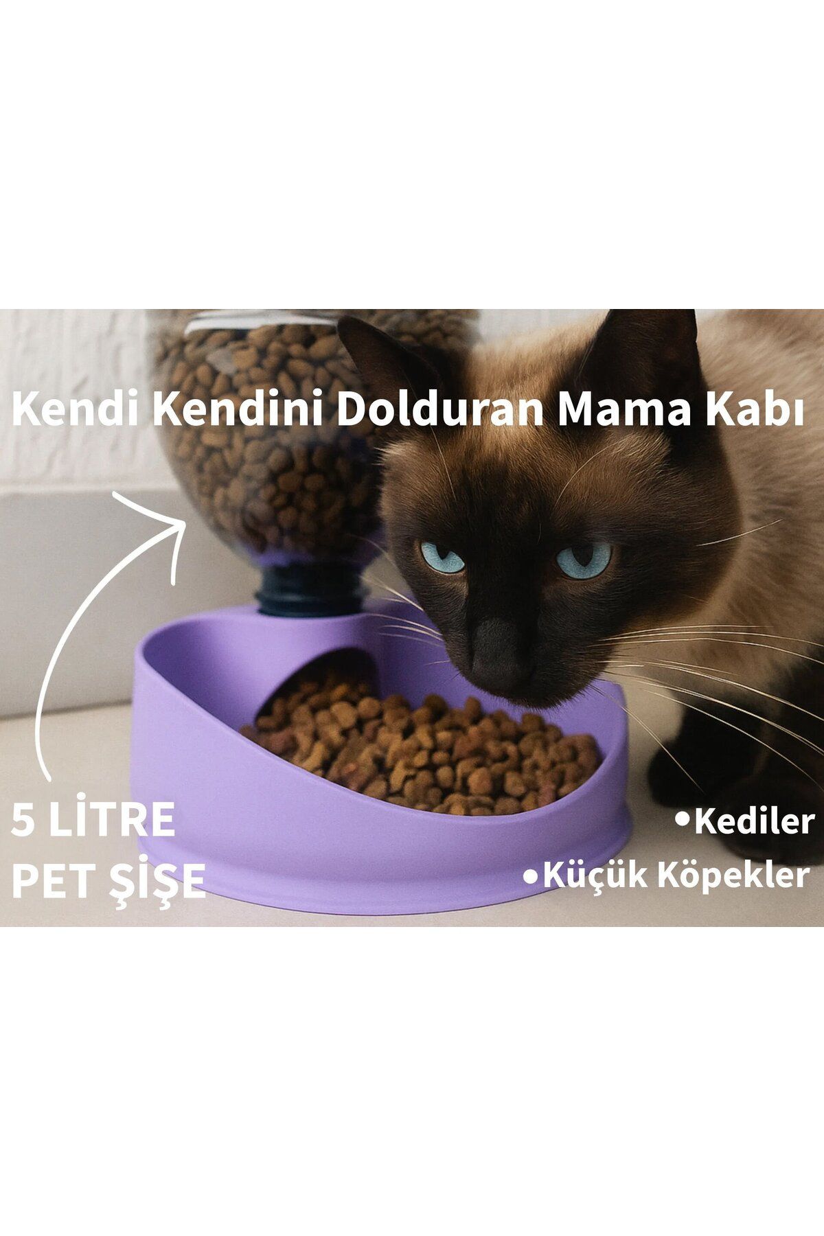 Palikar Yapı Kendi Kendini Dolduran Mama Kabı