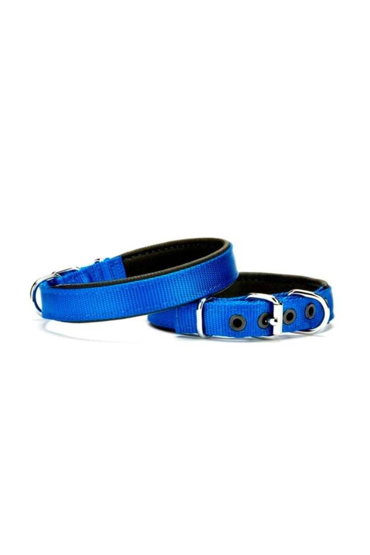 Zayla Softlu Köpek Boyun Tasması 1,5 cm x 35 cm Mavi