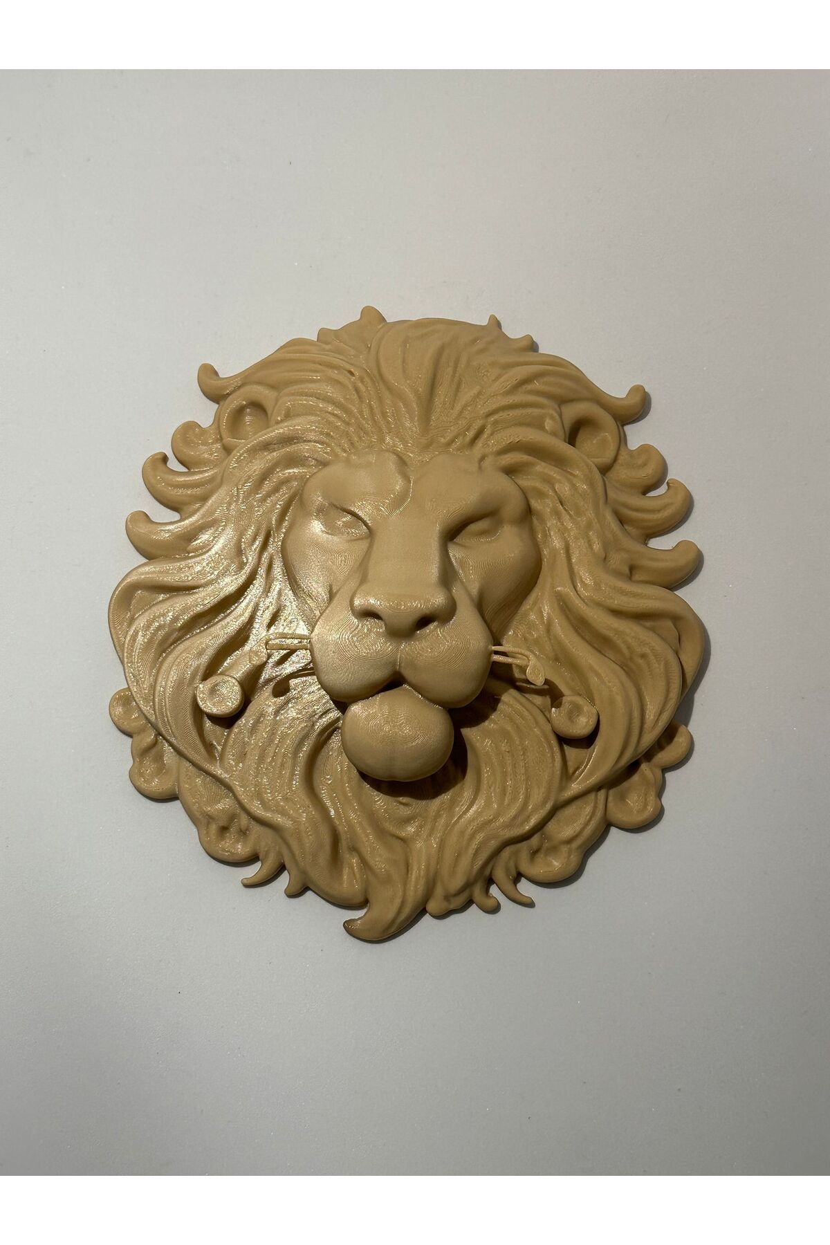 MaraStudio Aslan Kral Tablo