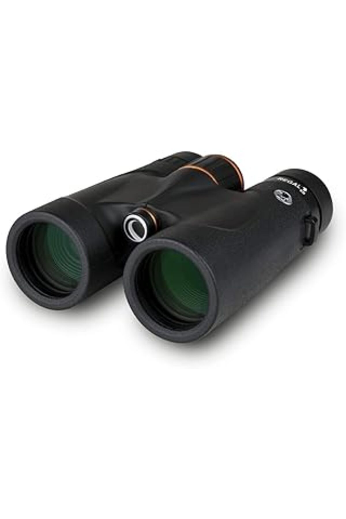 Pazarcan Celestron Regal Ed Çatı Prizma Dürbün, 8 X 42 Mm Ebat