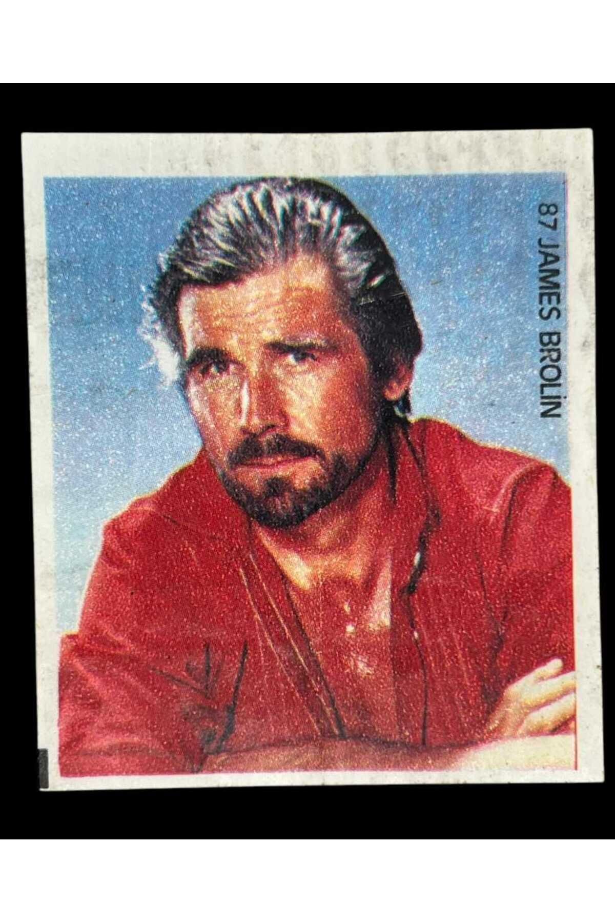 Gökçe Koleksiyon MİNTİ Sakız Kağıdı No 87 James Brolin Stickers SKZ864