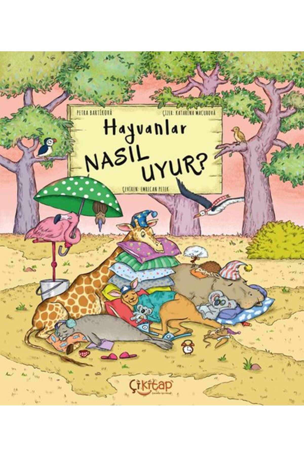 Destek Yayınları Hayvanlar Nasıl Uyur ?