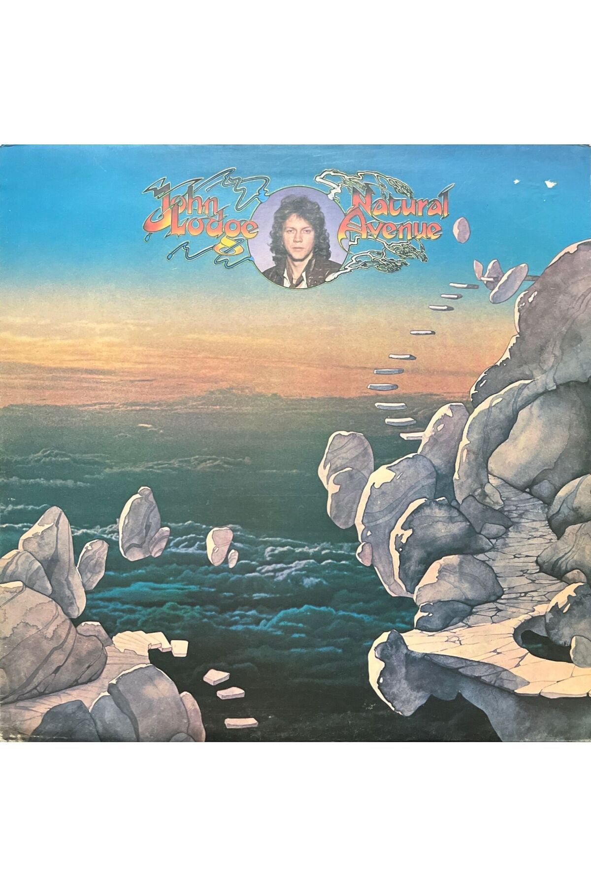 Plak İstasyonu John Lodge Natural Avenue LP Plak