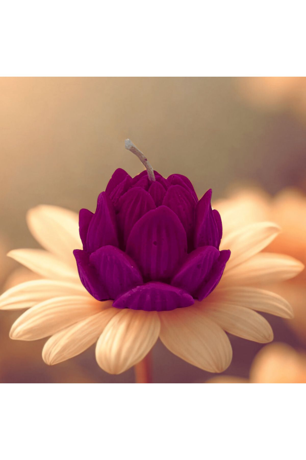 Saturnay Lotus Çiçeği Figürlü Kokulu Renkli Mum