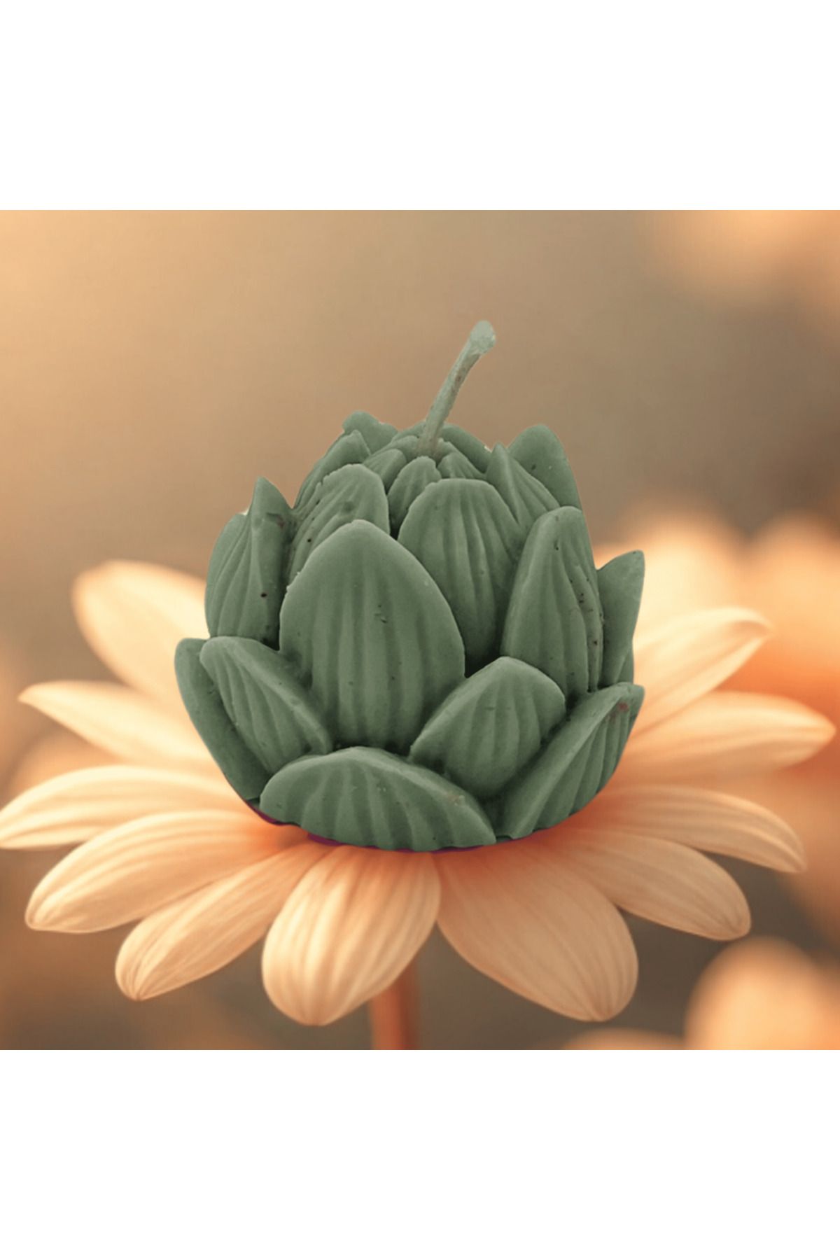 Saturnay Lotus Çiçeği Figürlü Kokulu Renkli Mum