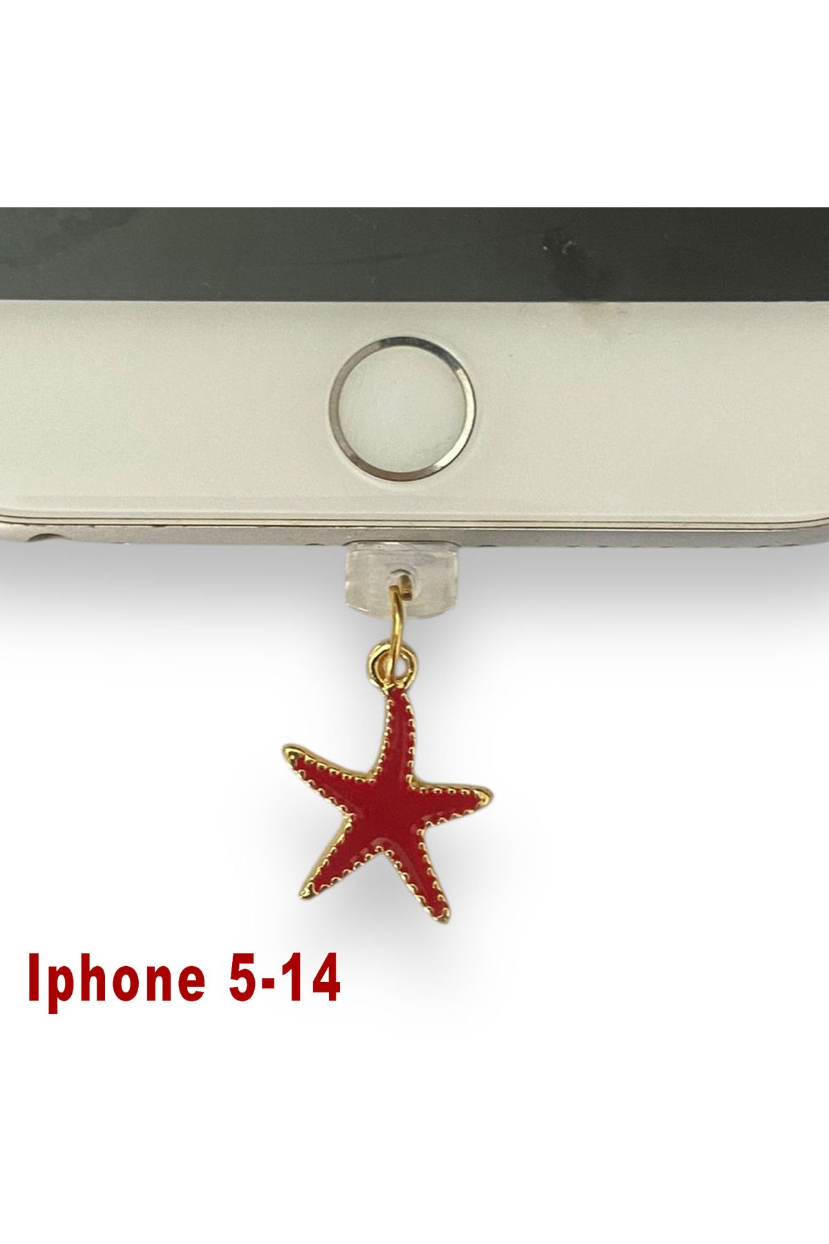 BK Design Iphone 5-14 Çelik Takı Figürlü Telefon Şarj Portu Toz Tıpası Toz Tıkacı Charm IPGL6002