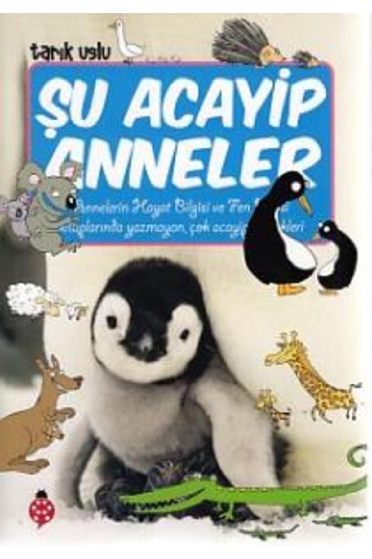 Uğurböceği Yayınları Şu Acayip Anneler