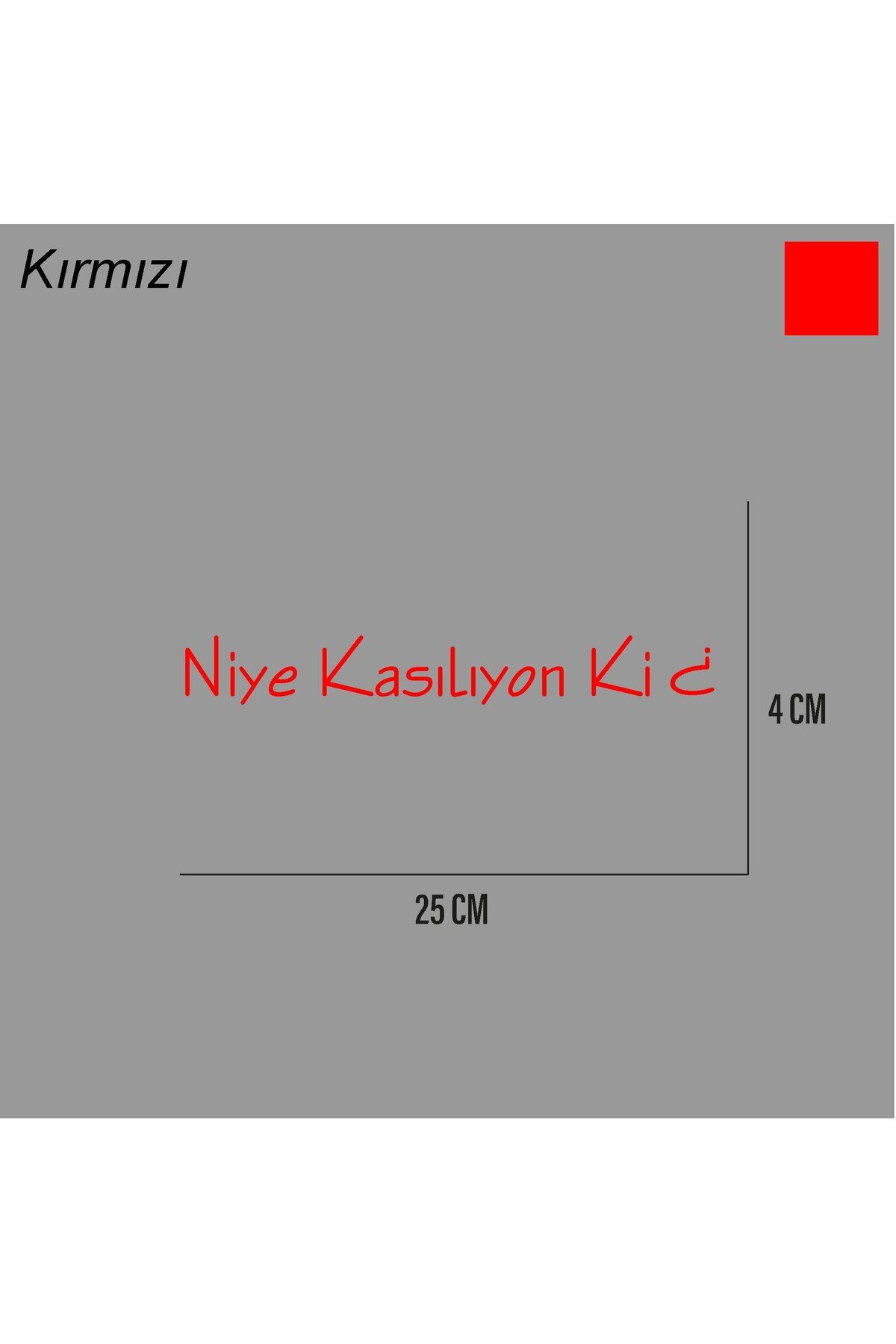 ARONA Niye Kasılıyon Ki Sticker Arka Cam Söz Sticker Etiket 25CM