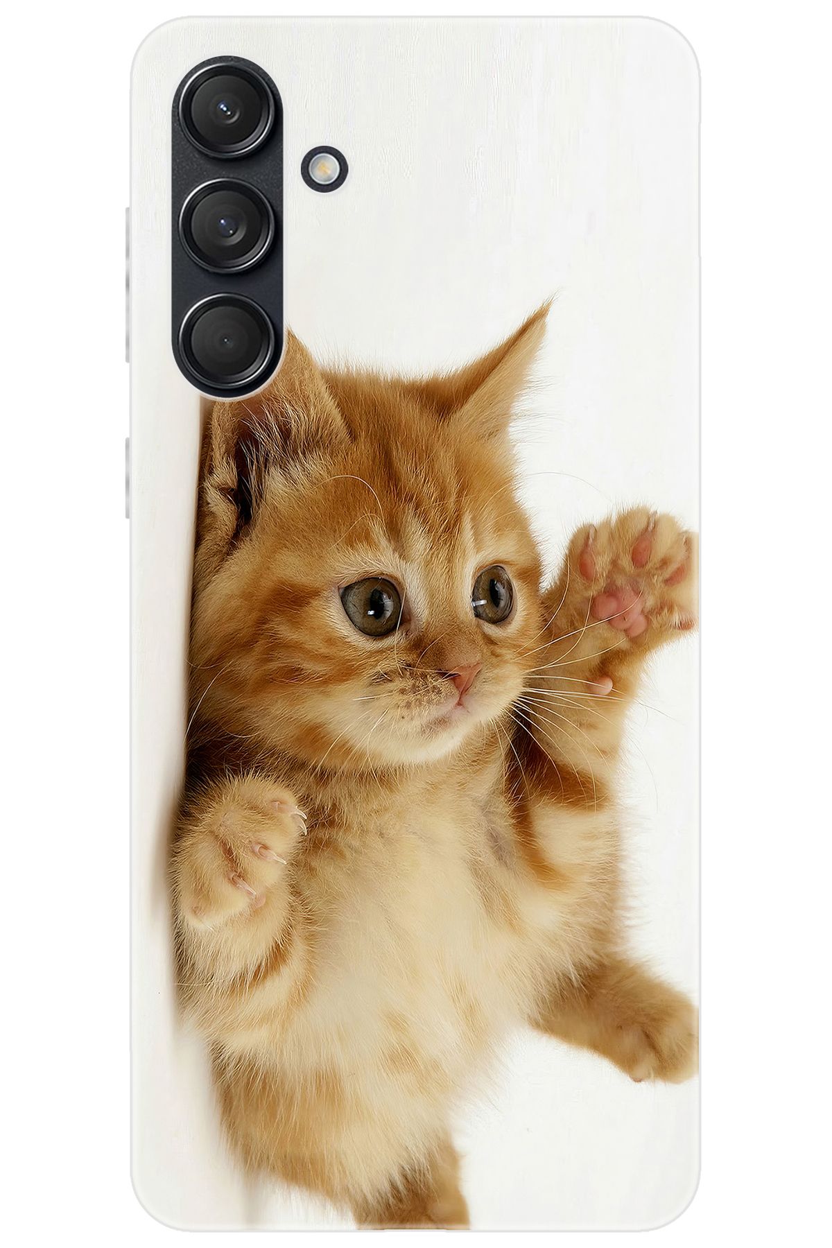 Ceppare Samsung Galaxy M55 (SM-M556B) Uyumlu Kılıf Desen Baskılı Silikon Sevimli Kedi STK:205 CP-WAWYKhs