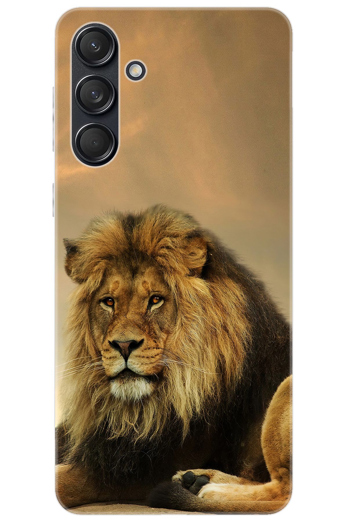 Ceppare Samsung Galaxy M55 (SM-M556B) Uyumlu Kılıf Desen Baskılı Silikon Kral Aslan STK:207 CP-jJ9tVN4