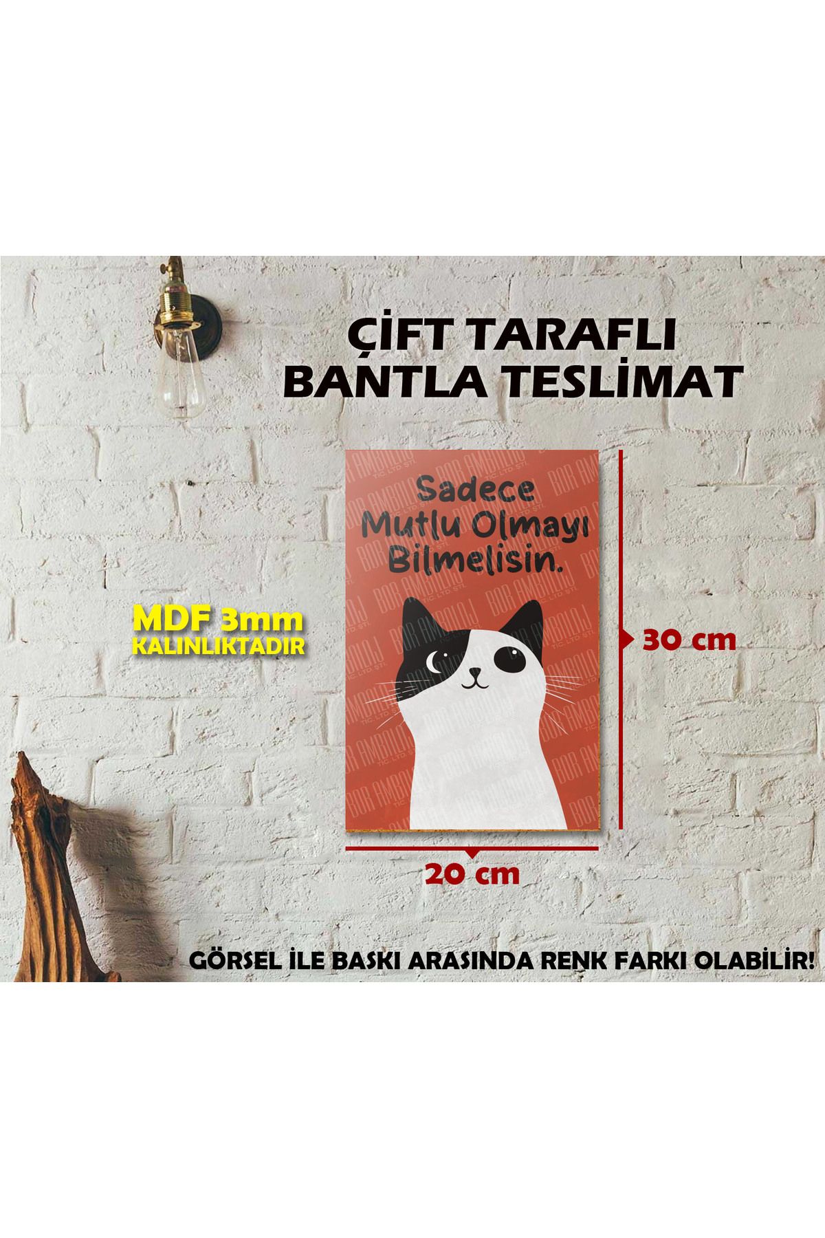 Borambalaj Kedi ve Günün Sözlü MDF Tablo 20x30 cm