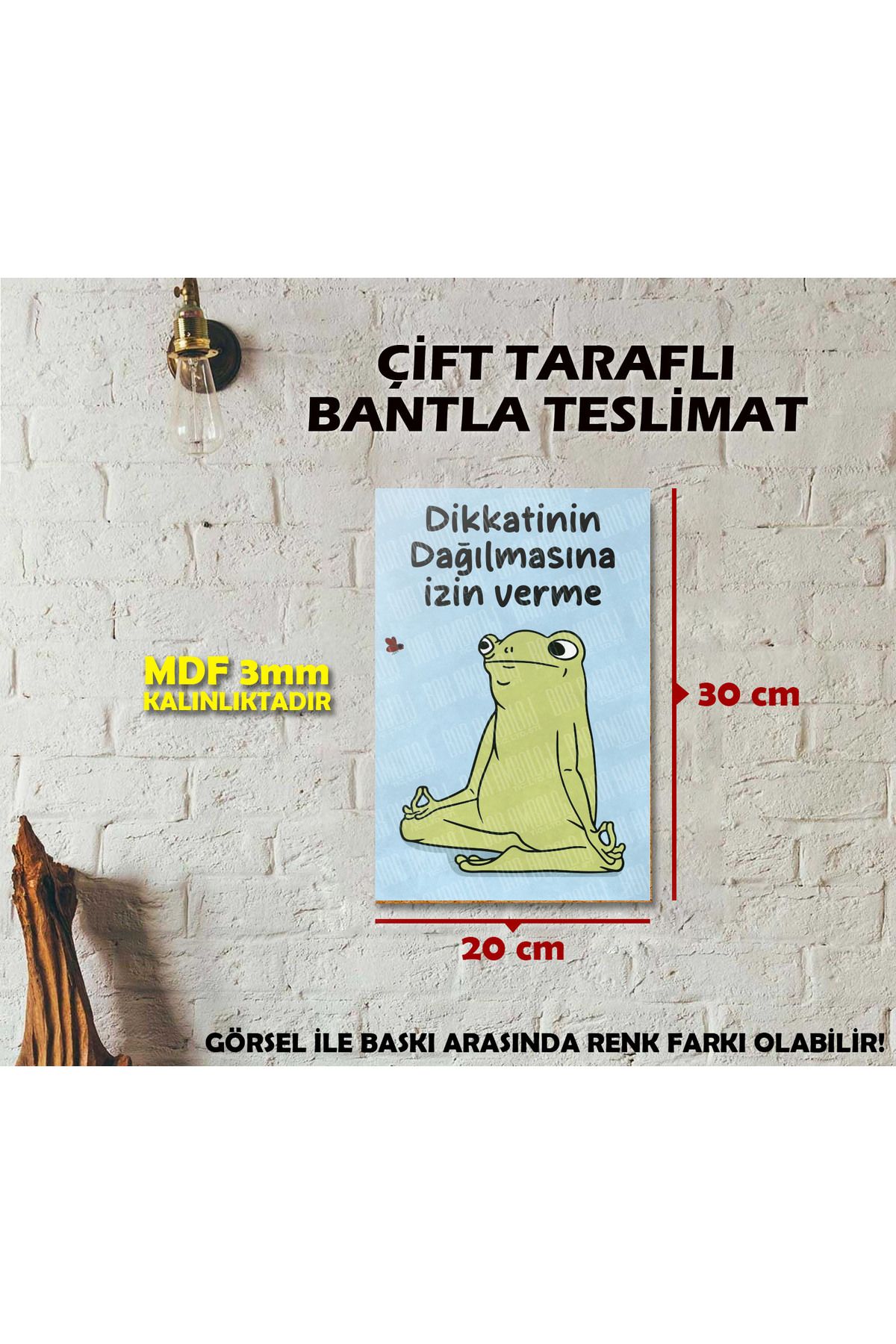 Borambalaj Komik Kurbağa Tasarımlı ve Günün Sözlü MDF Tablo 20x30 cm