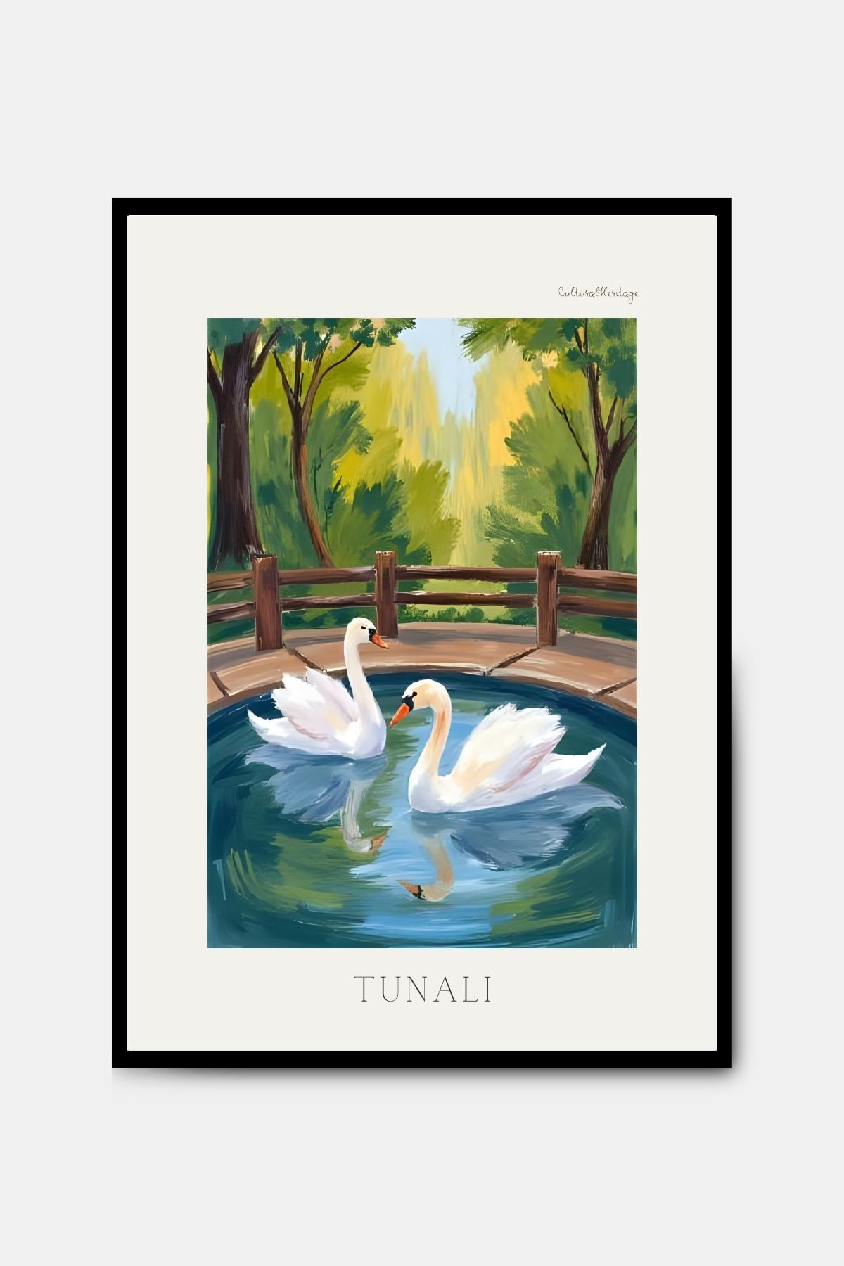 PİTAYA Ankara Tunalı Poster - Çerçevesiz Tasarım Poster Doğa Kuğu Yağlı Boya Tablo Duvar Dekorasyonu