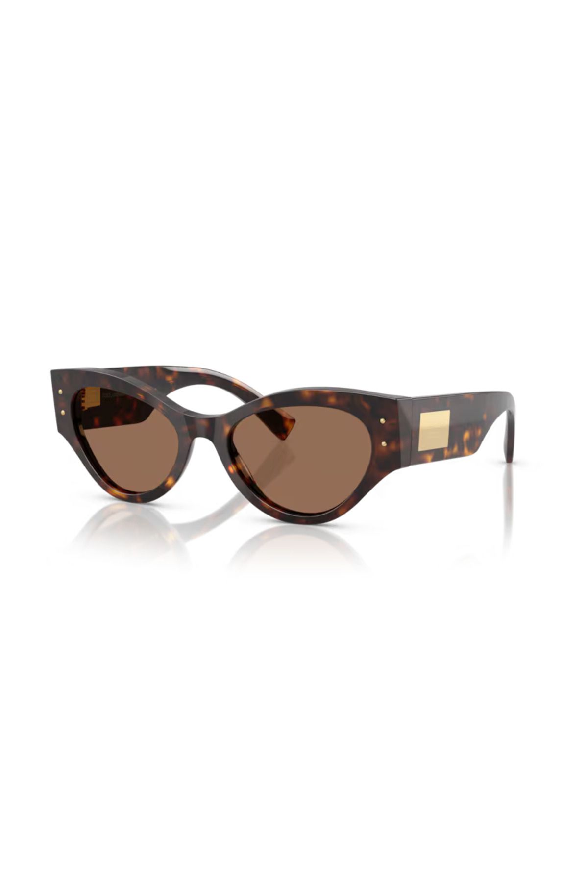 Dolce&Gabbana DOLCE & GABBANA DG 4480 53 Kadın Güneş Gözlüğü