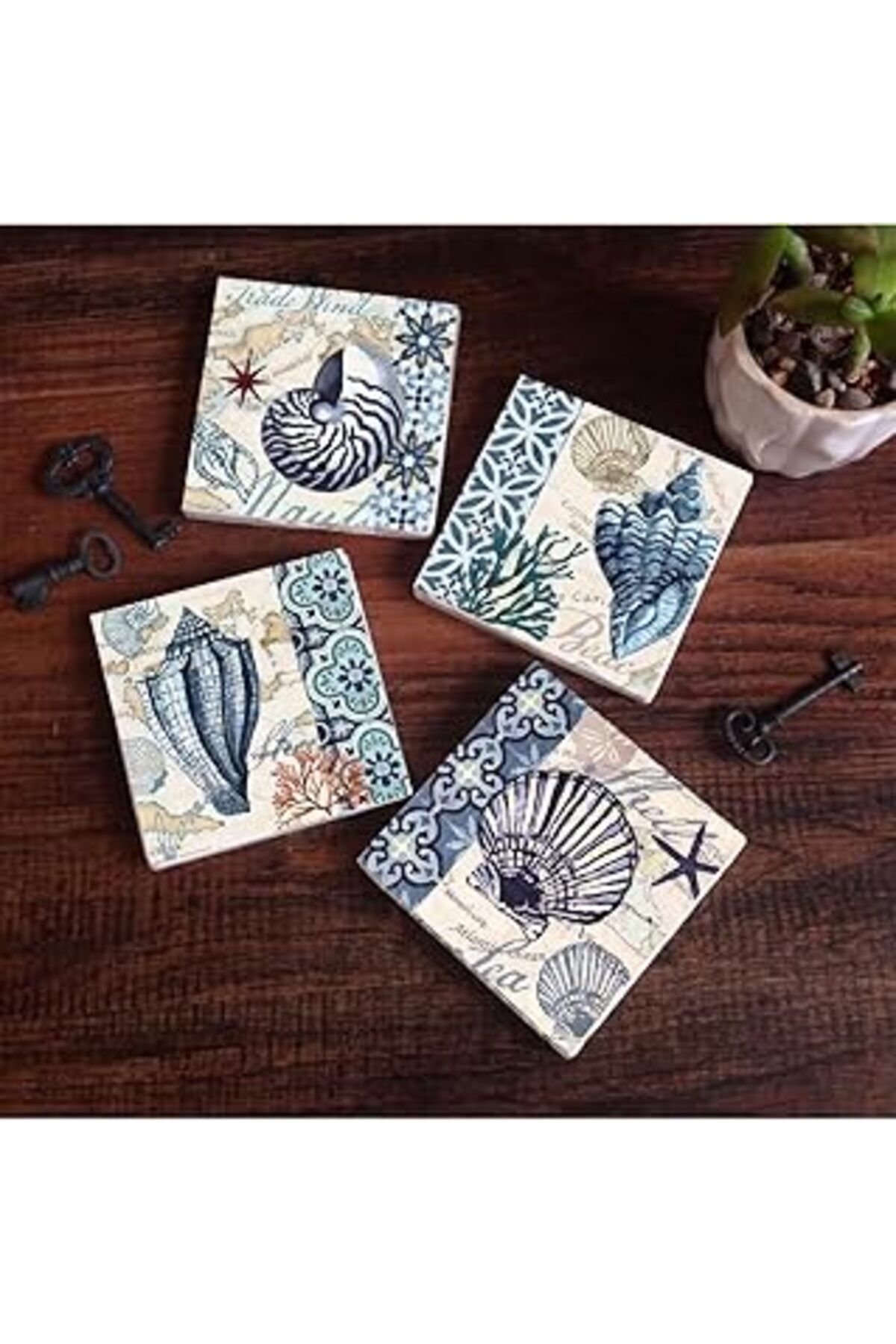 ASİTAN Pinecone Deniz Kabuğu Taş Bardak Altlığı Seti - 4 Parça - Dekoratif, Rustik Mutfak Aksesuarı, 10X10