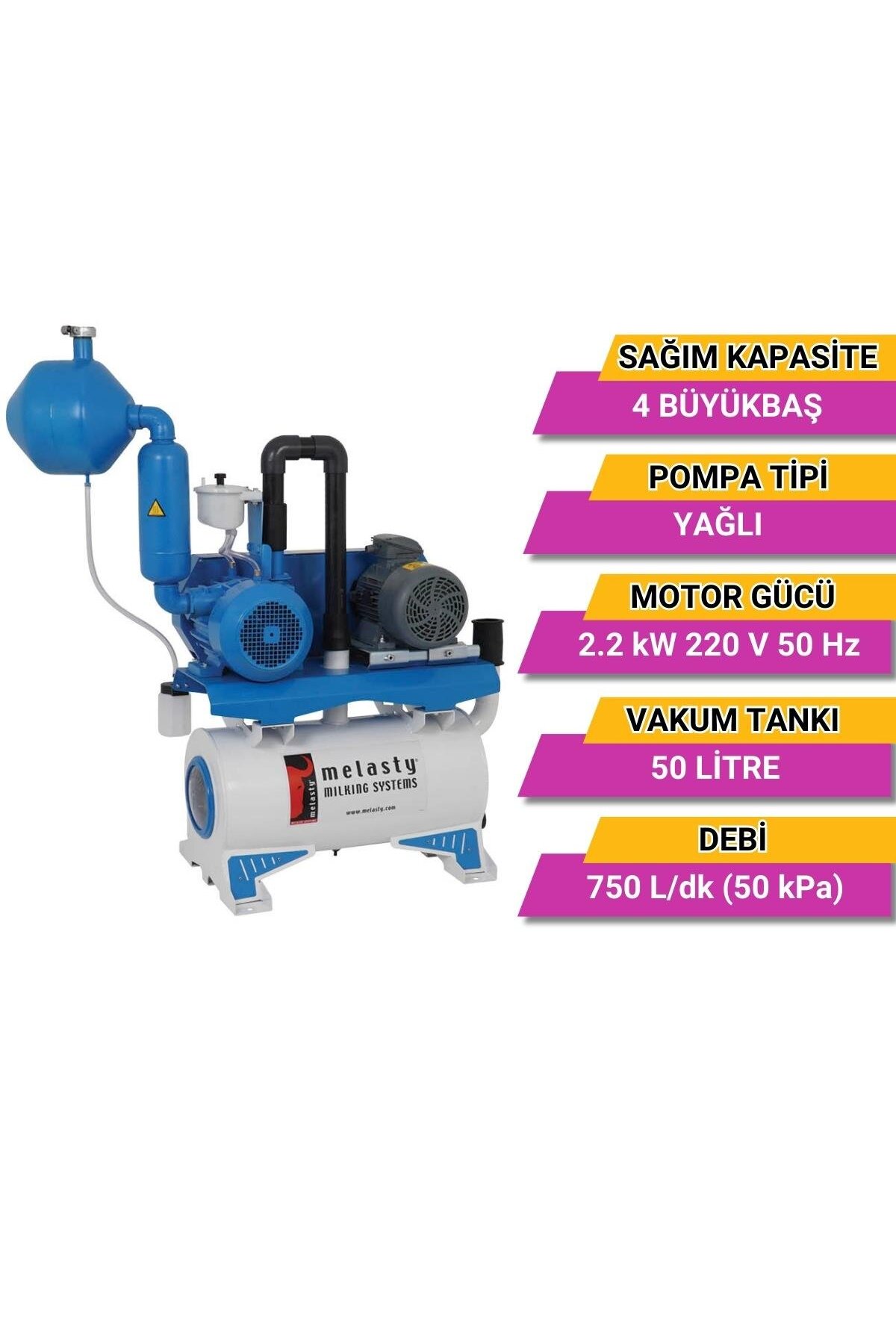Melasty Süt Sağım Sistemi Vakum Pompa Seti (220V-50Hz-2,2kW) (750 L/dk - Yağlı) fotoğrafı 2 (önizleme)