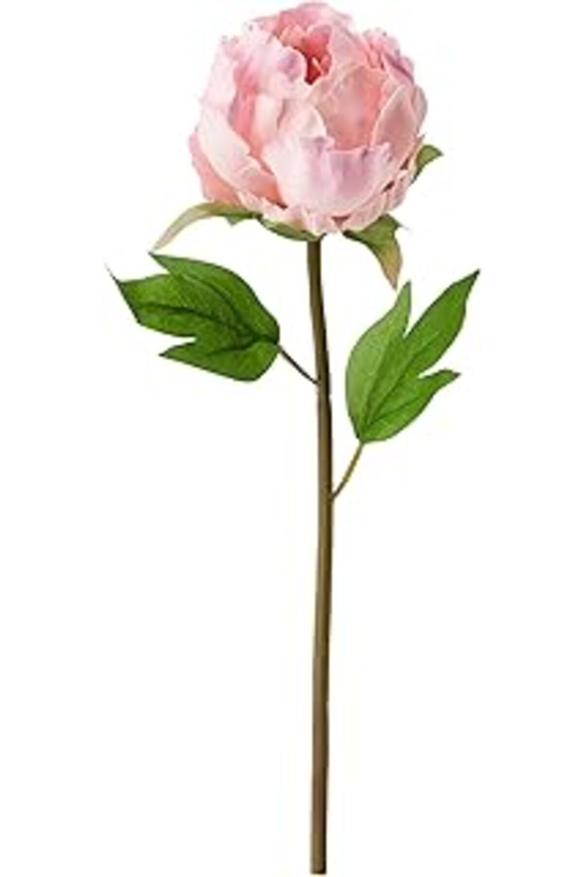 ASİTAN Smycka Yapay Çiçek, Şakayık, Pembe, 30 Cm