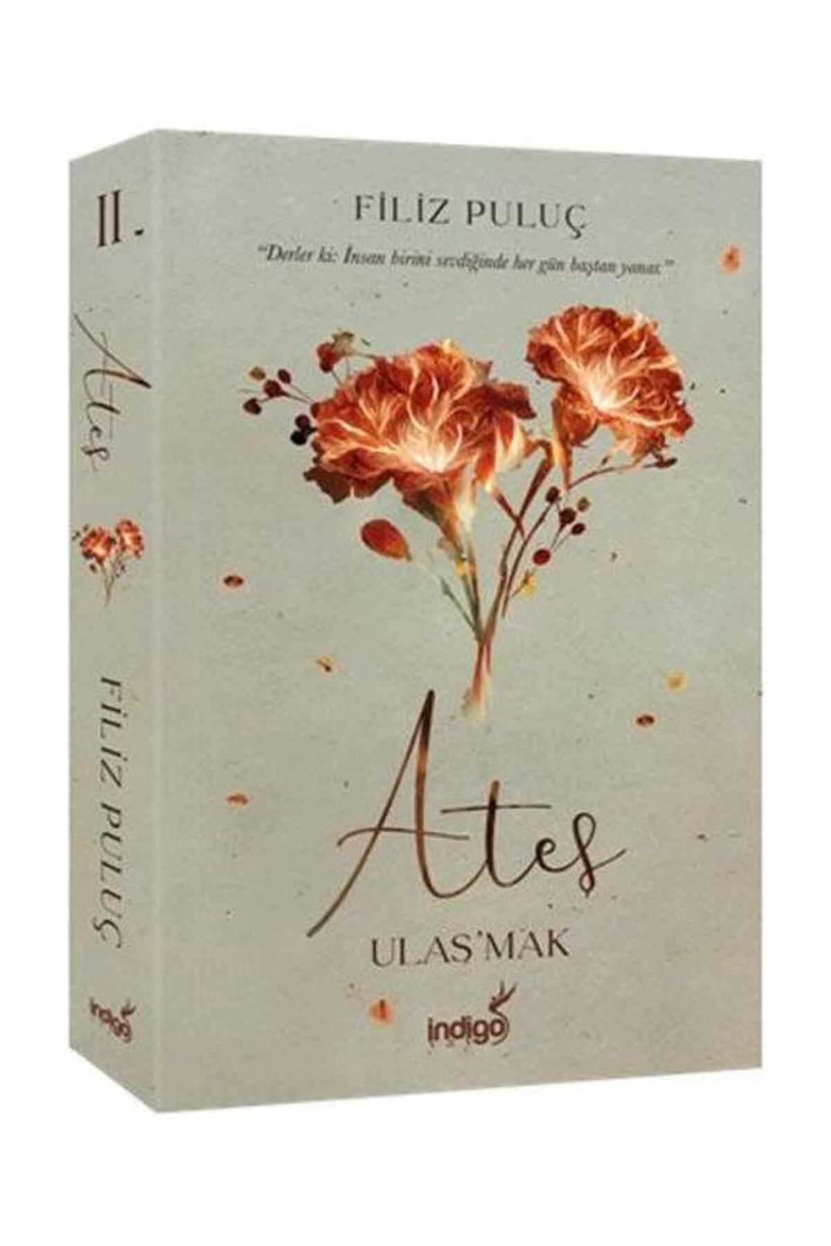 İndigo Kitap Ateş Ulaş'mak (Ciltli)