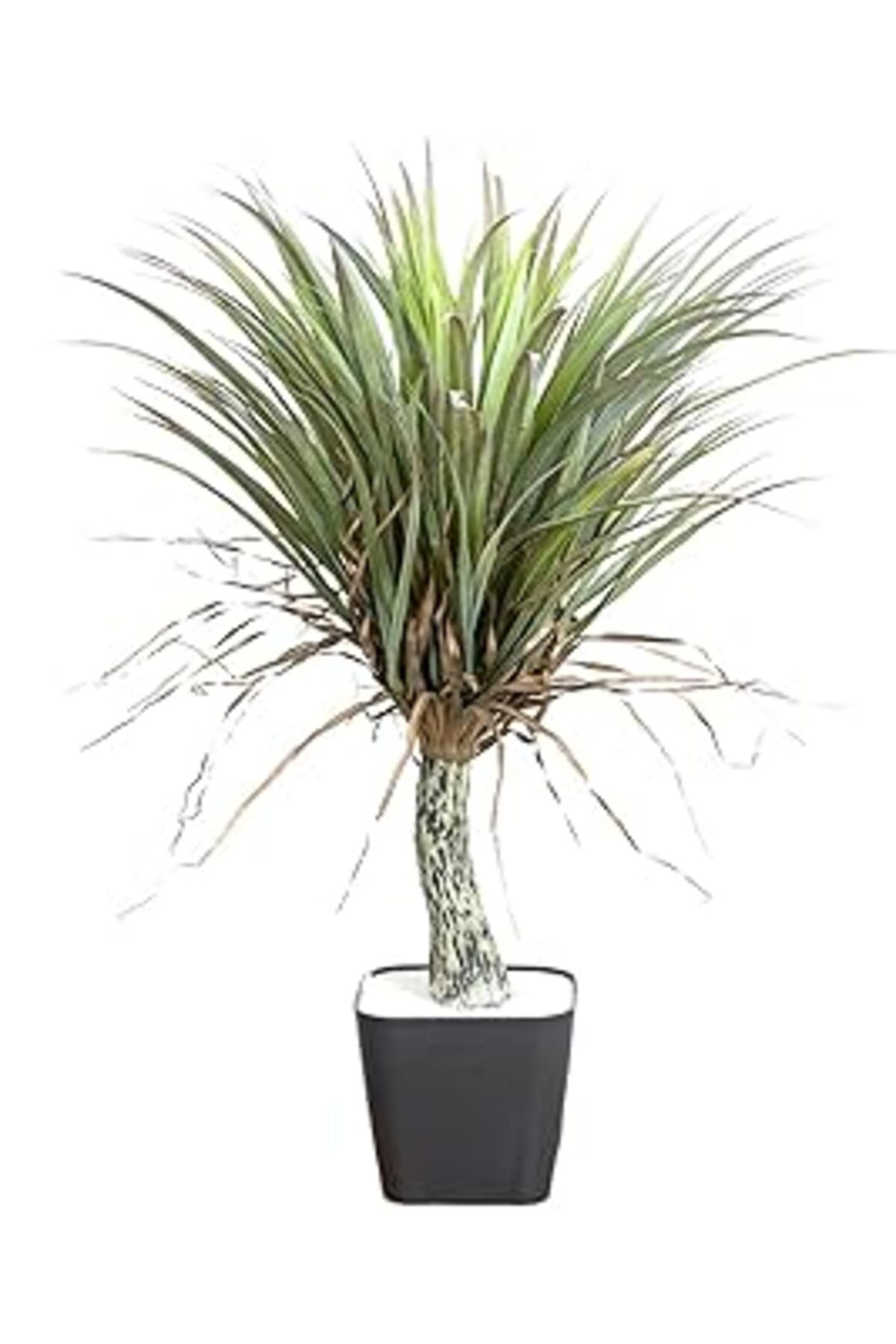 ASİTAN Herdekora Yapay Avize Çiçeği Bitkisi (Yucca Ağacı) Yeşil 85 Cm.