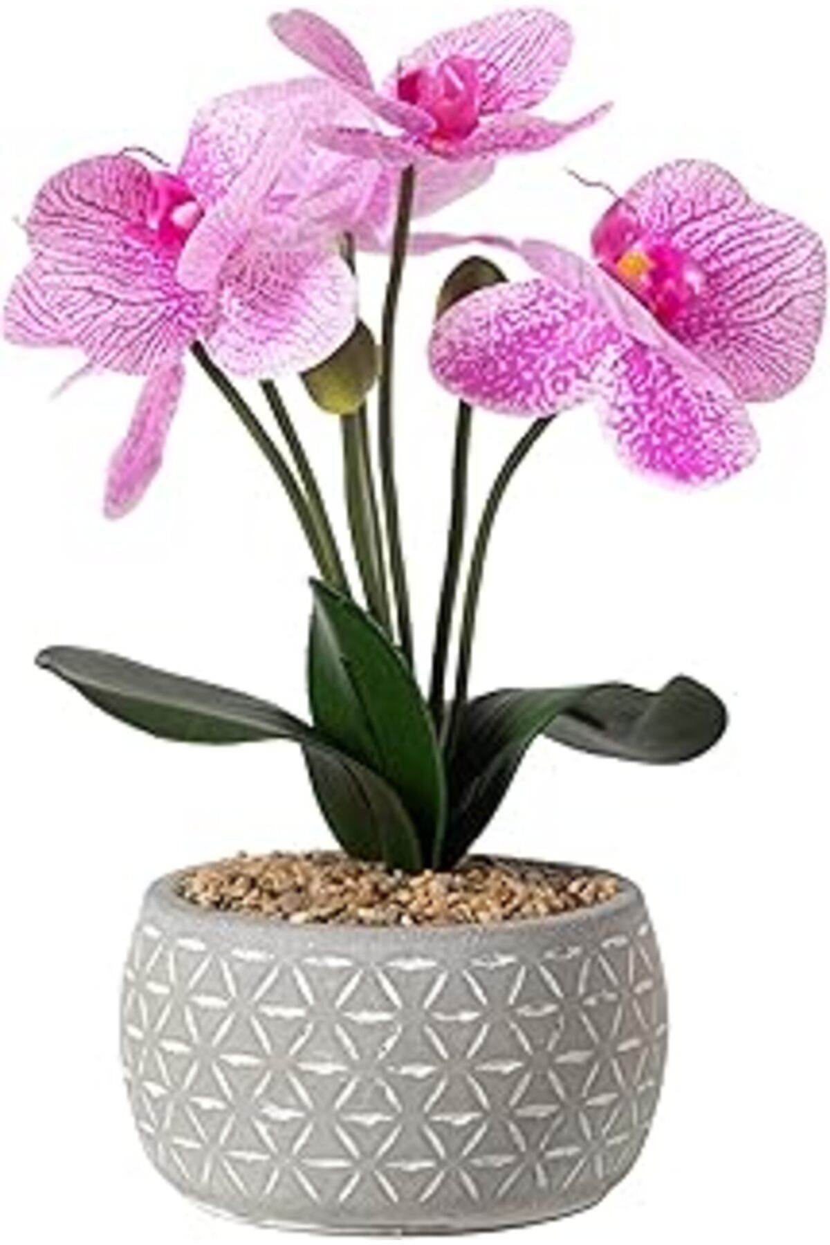 ASİTAN Concept Flora Pembe Orkide 12 X 37 Cm